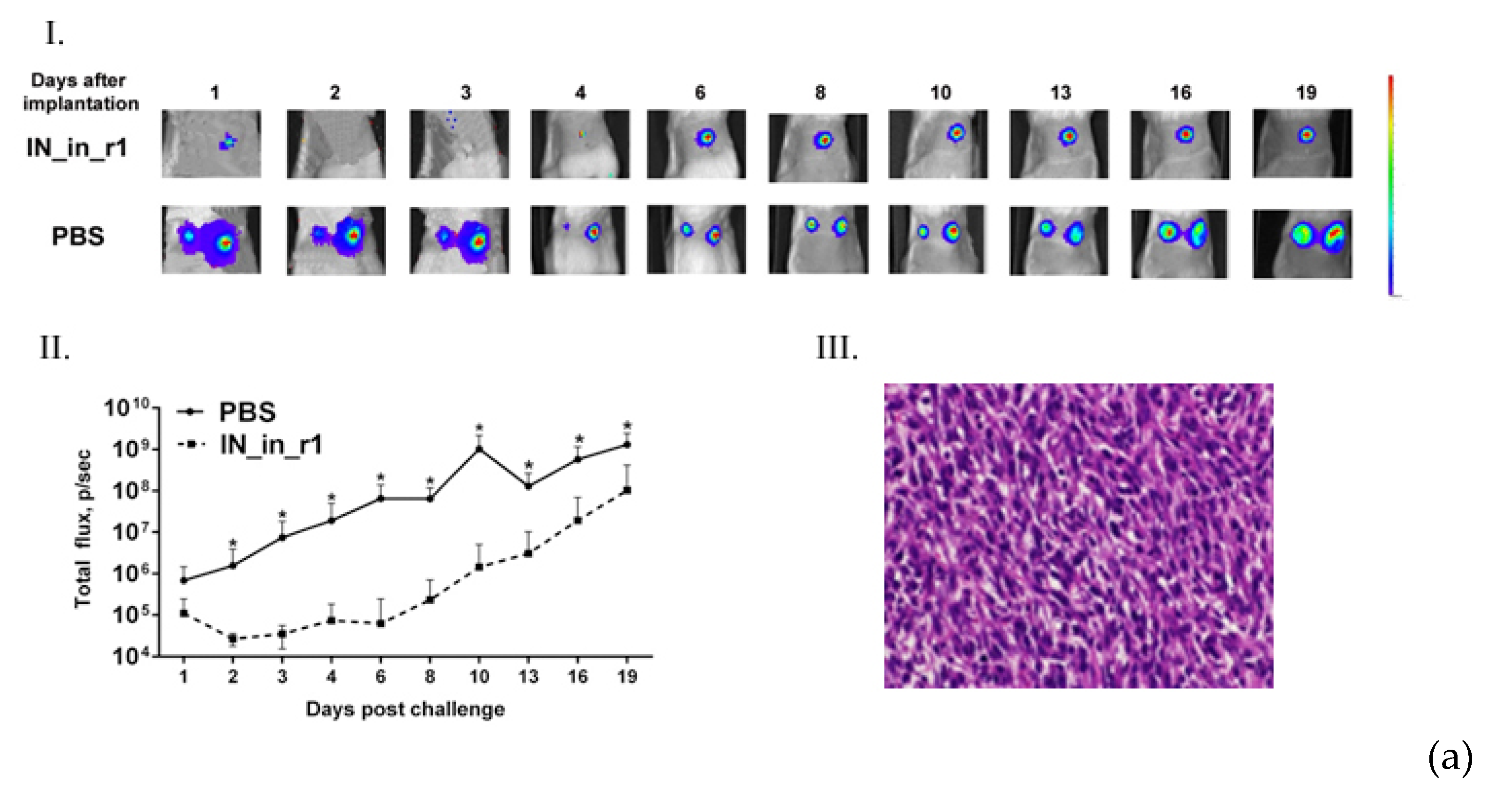 Microorganisms 09 01219 g014a Microorganisms 09 01219 g014a