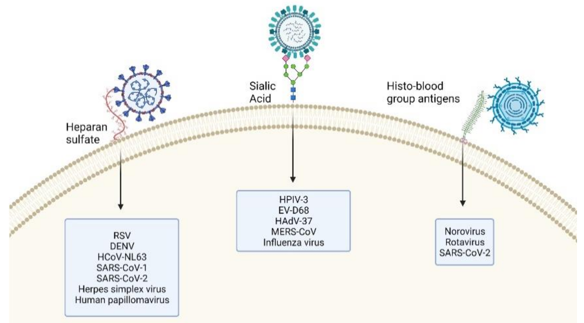 Microorganisms 09 01238 g001