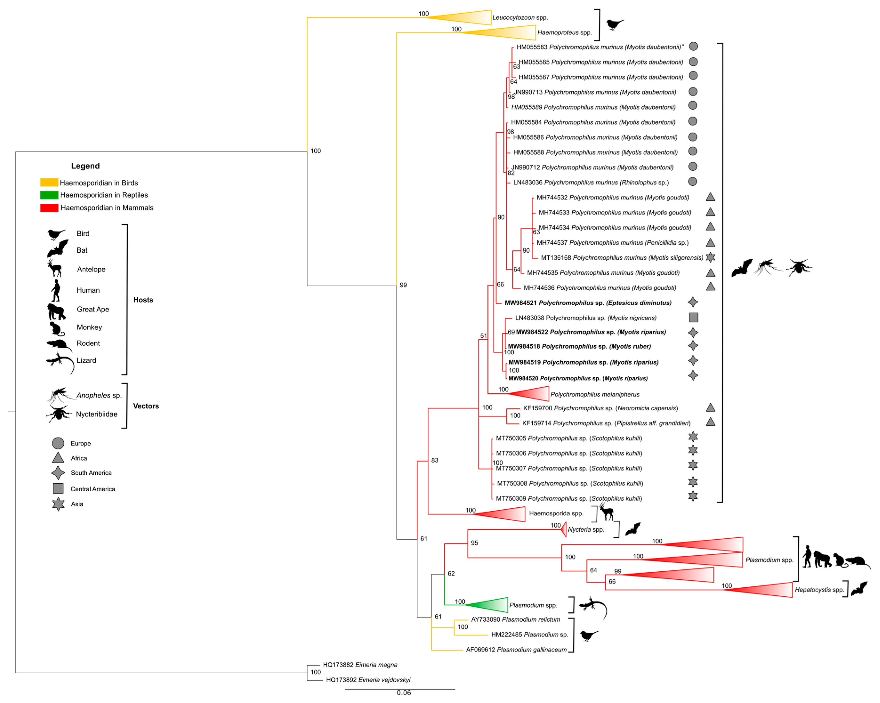 Microorganisms 09 01240 g003