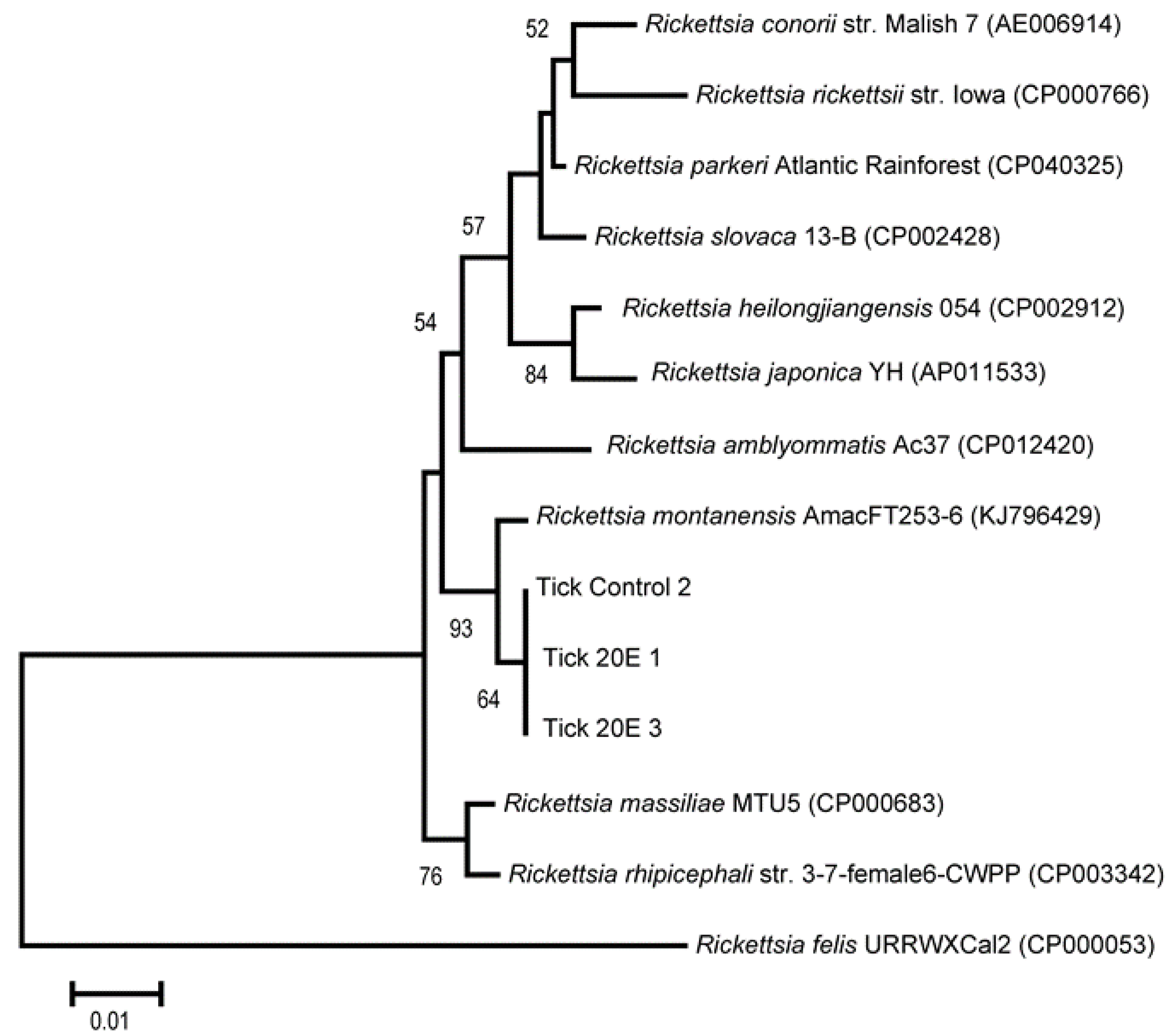 Microorganisms 09 01242 g005 Microorganisms 09 01242 g005