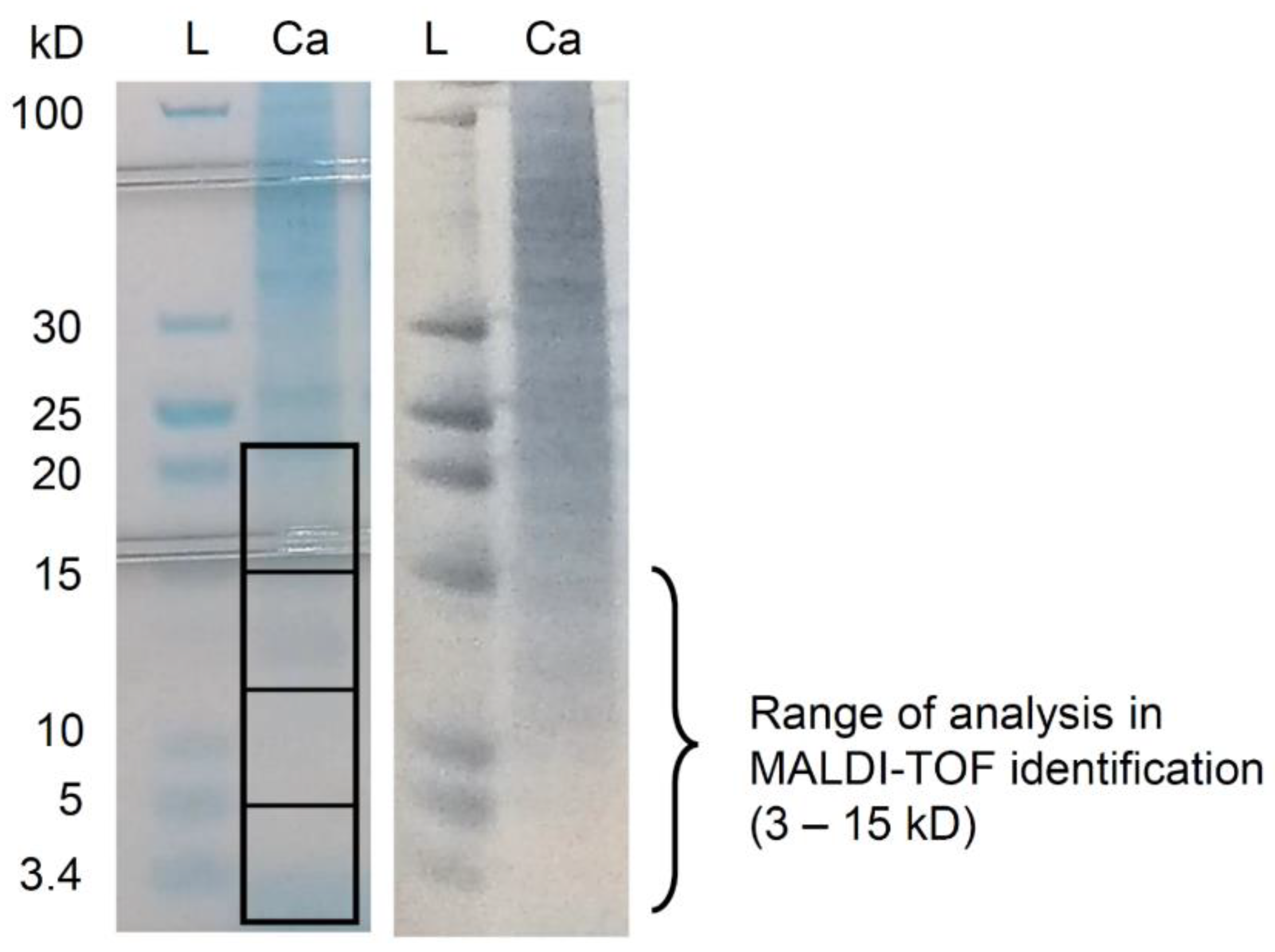 Microorganisms 09 01243 g001 Microorganisms 09 01243 g001