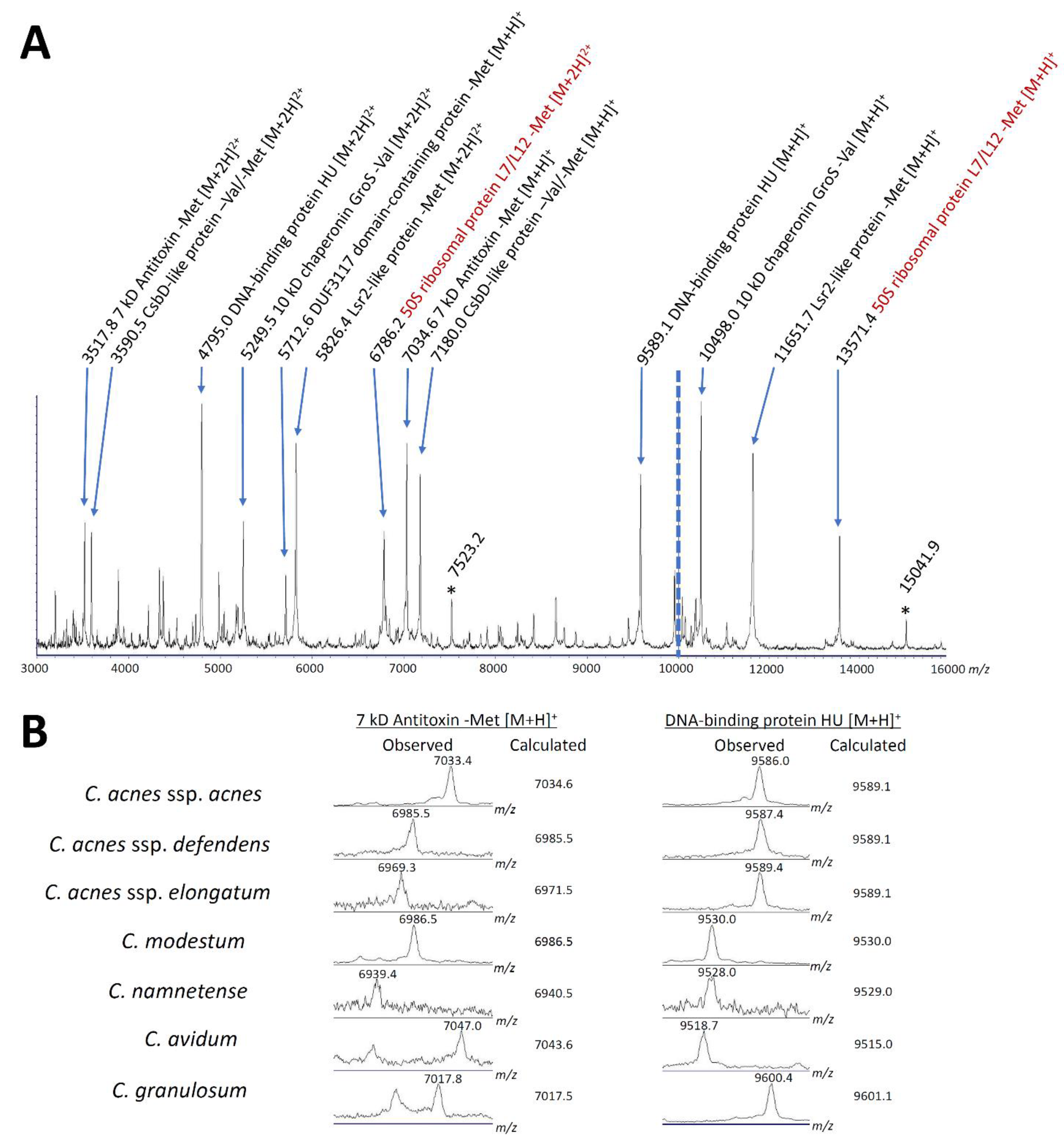 Microorganisms 09 01243 g004 Microorganisms 09 01243 g004