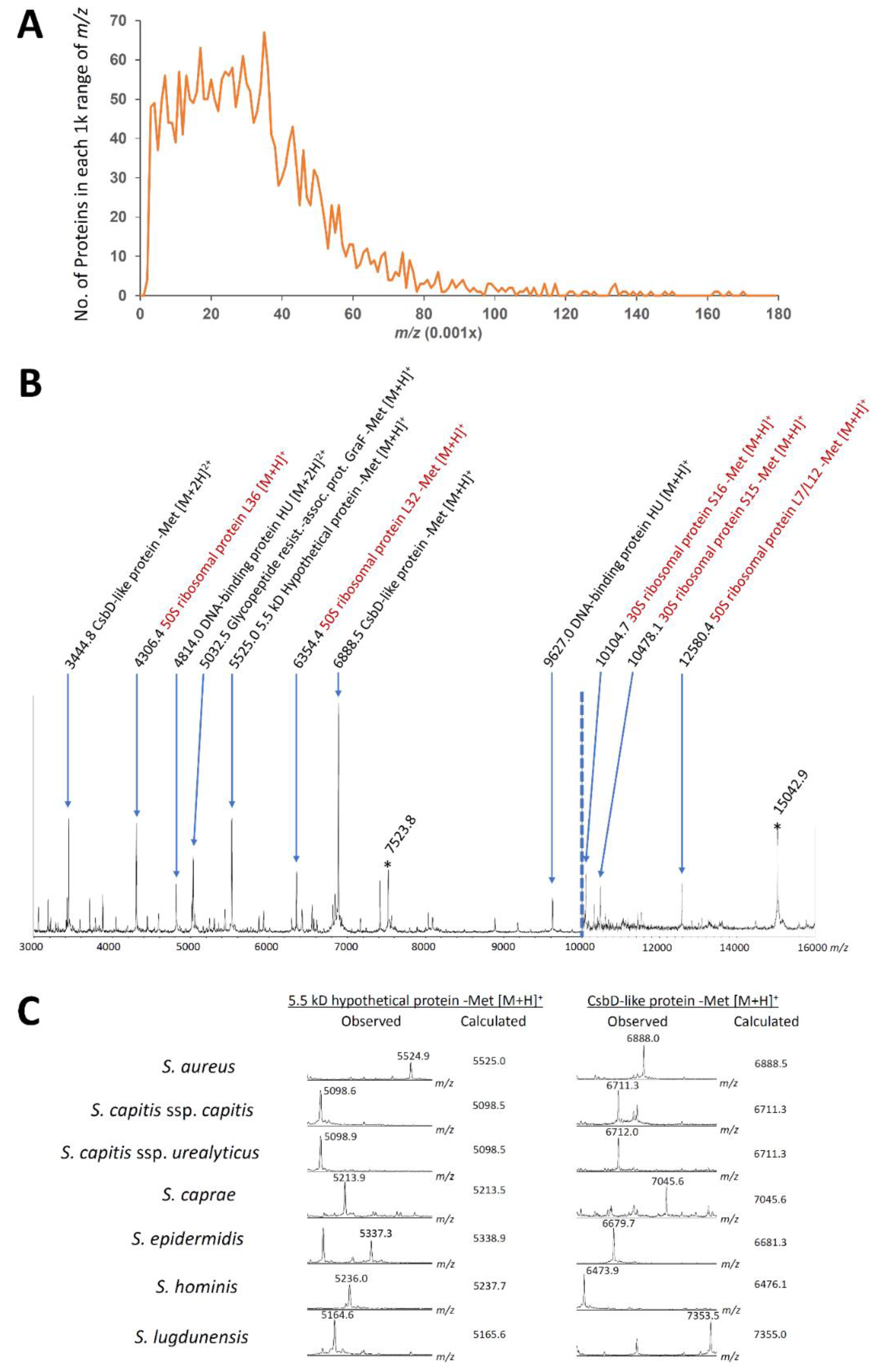 Microorganisms 09 01243 g005 Microorganisms 09 01243 g005