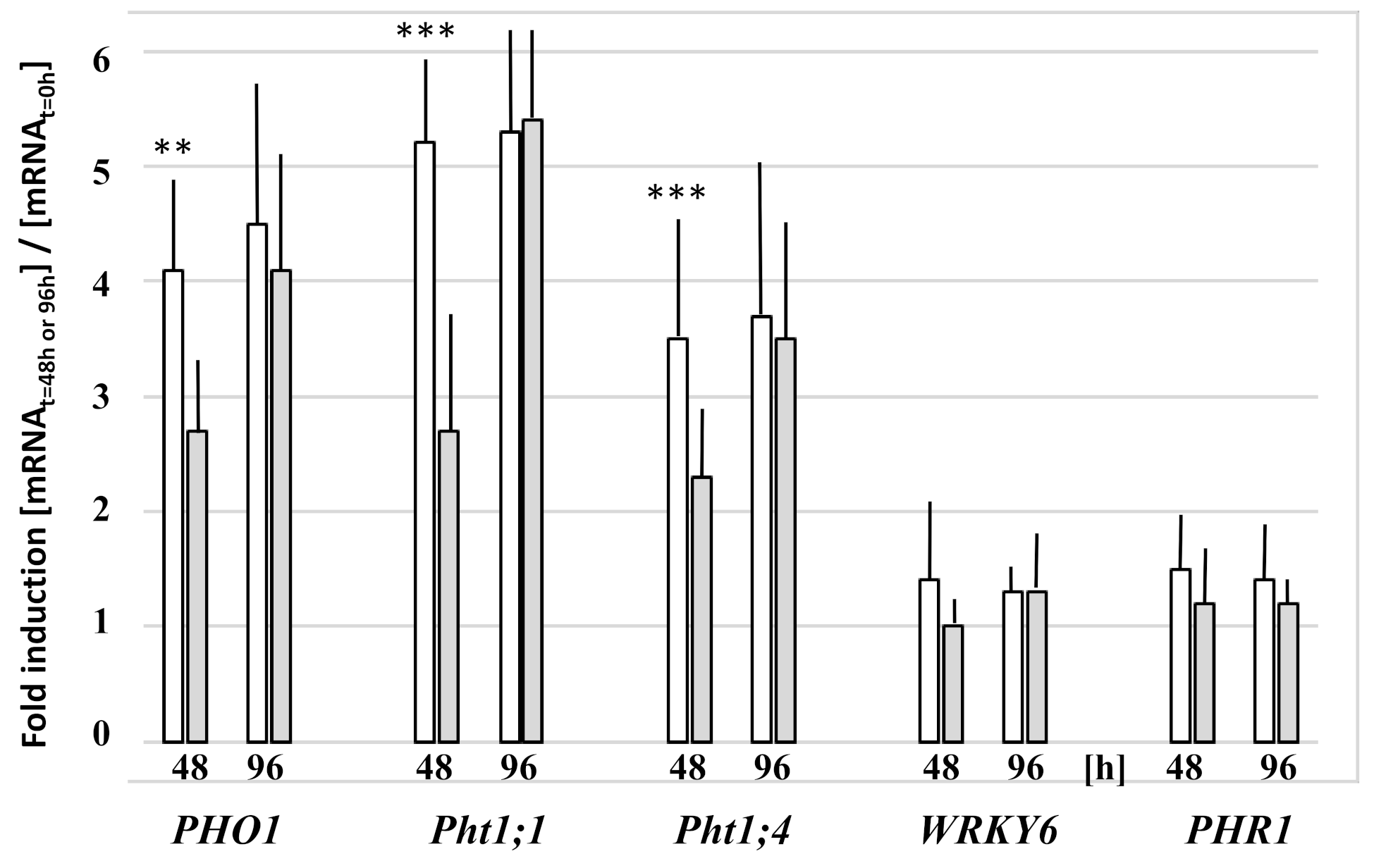 Microorganisms 09 01246 g005 Microorganisms 09 01246 g005
