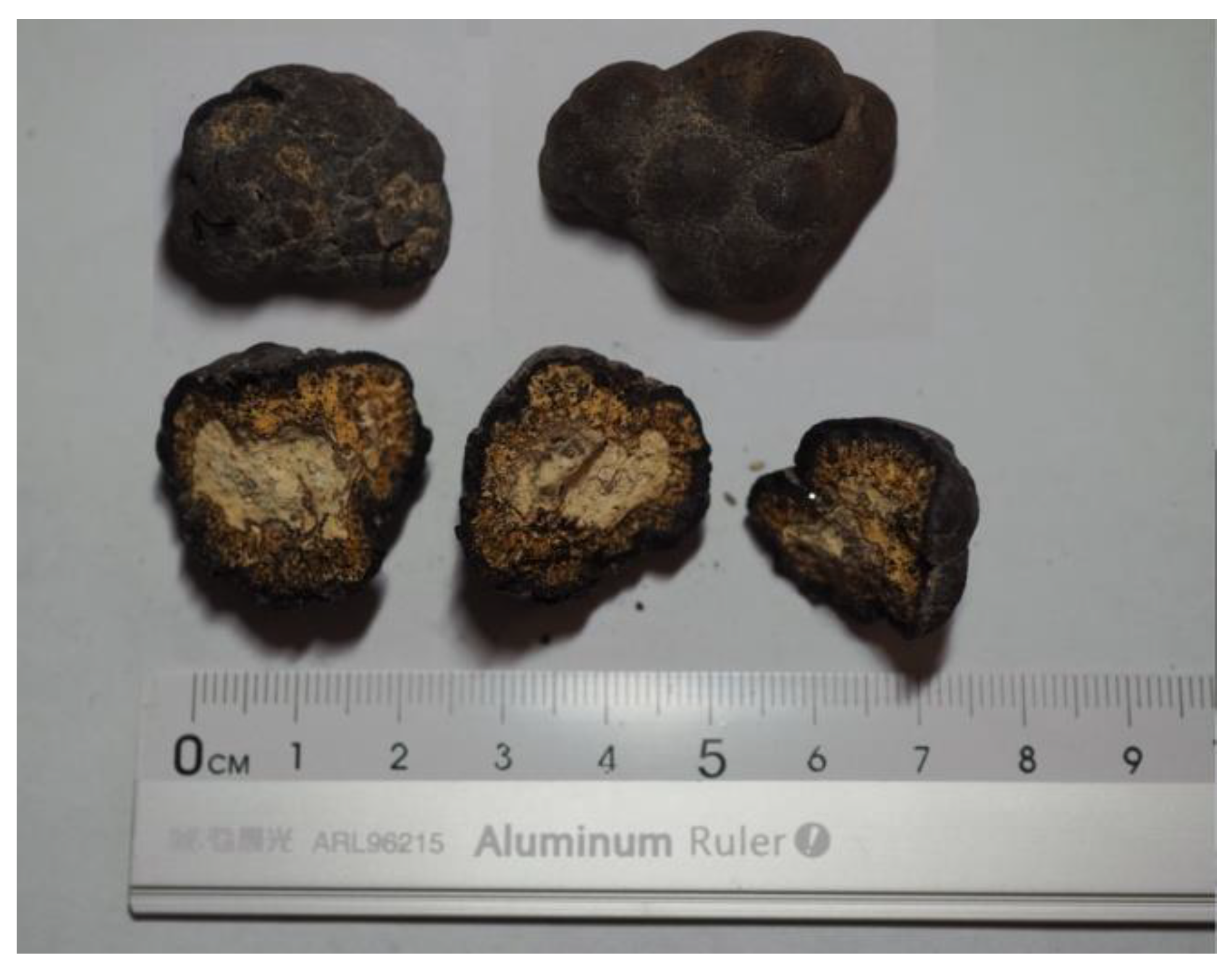 Microorganisms 09 01247 g001