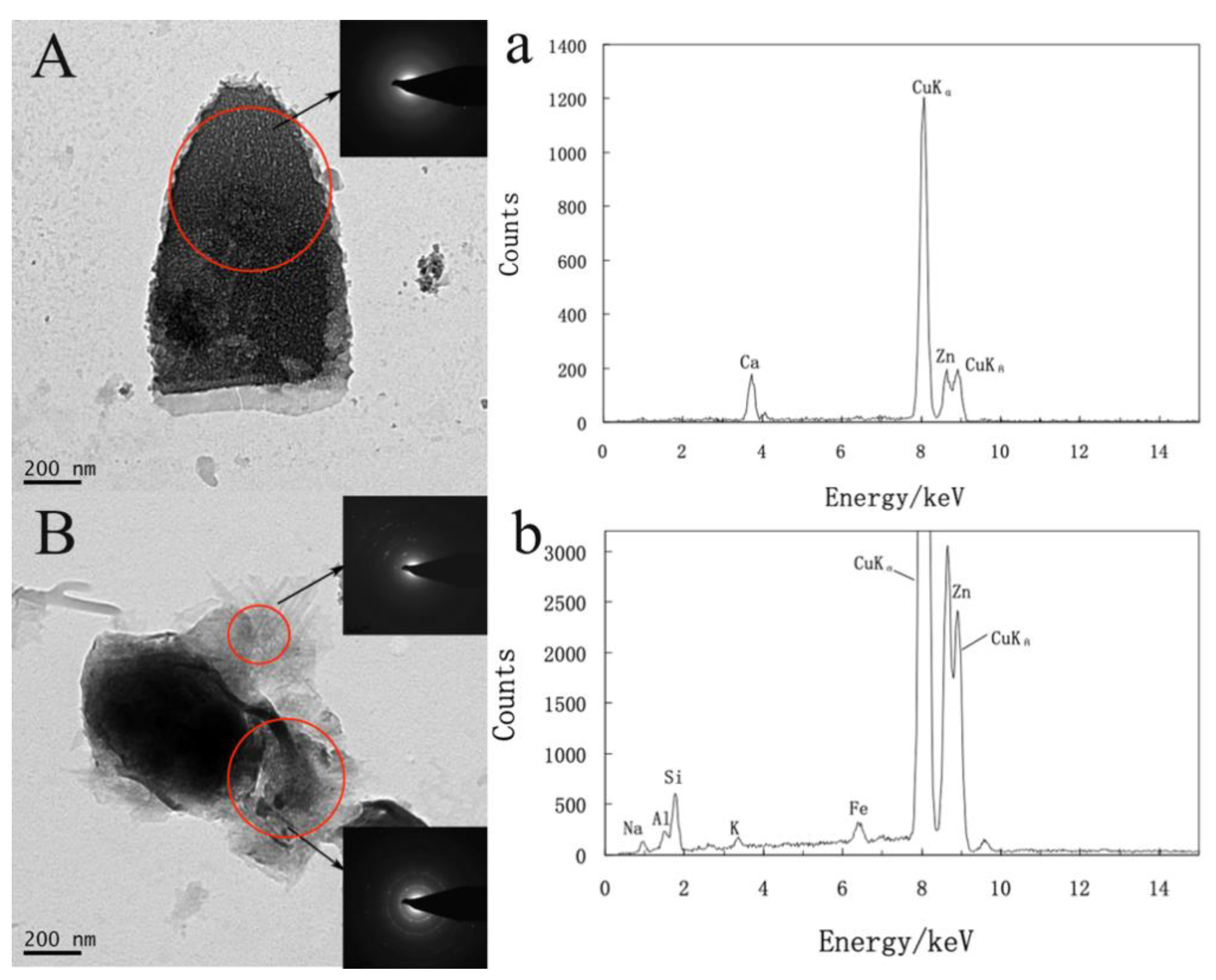 Microorganisms 09 01247 g005