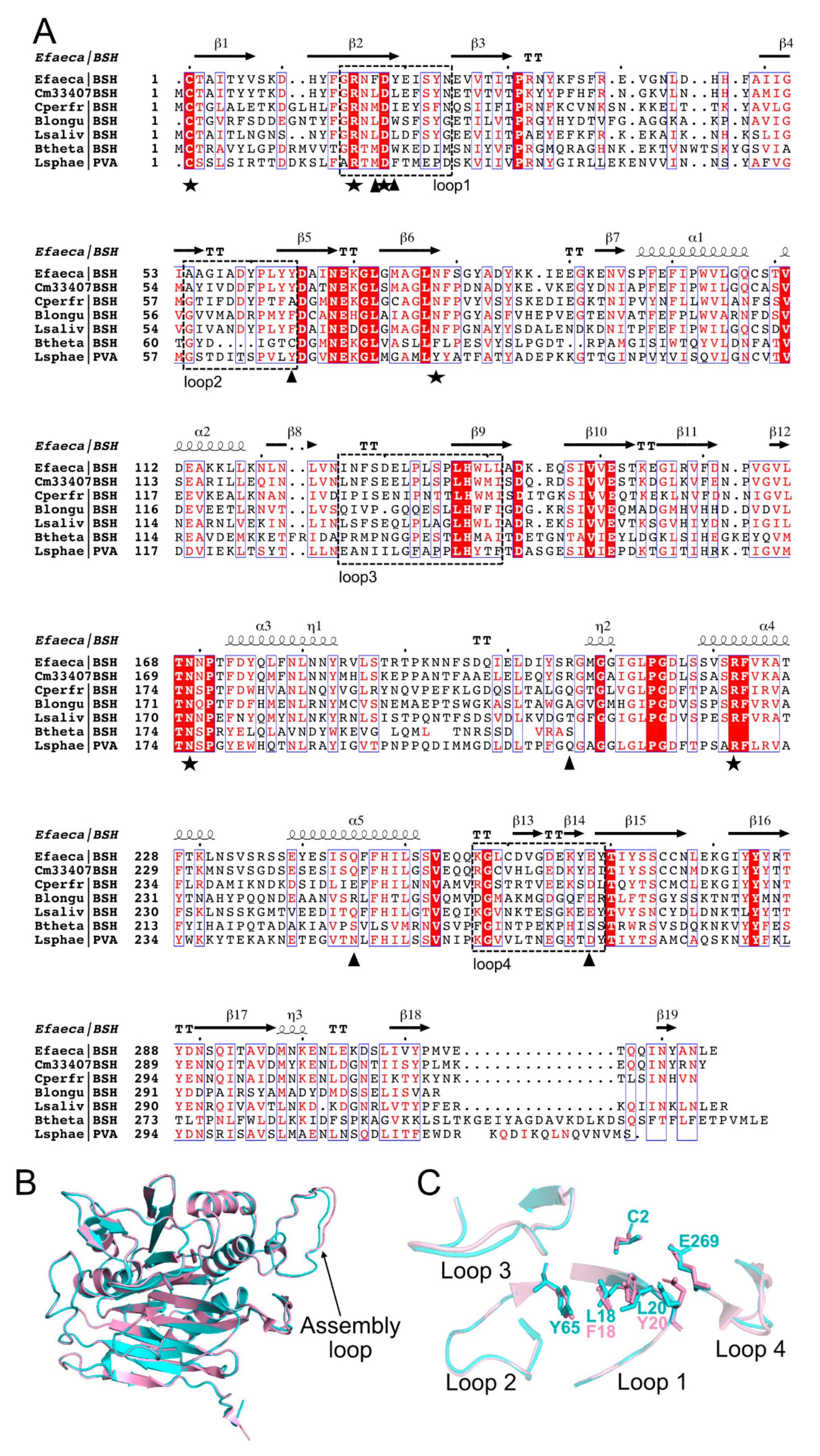 Microorganisms 09 01252 g003 Microorganisms 09 01252 g003