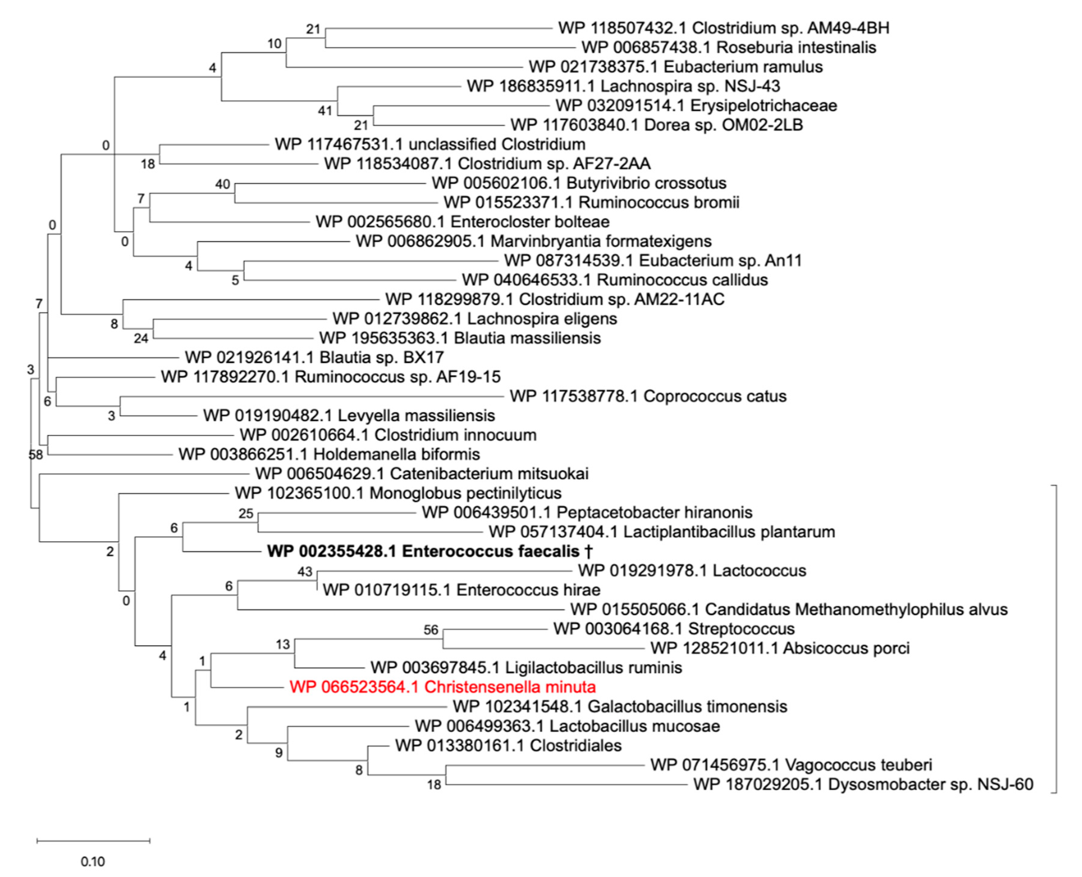 Microorganisms 09 01252 g006 Microorganisms 09 01252 g006