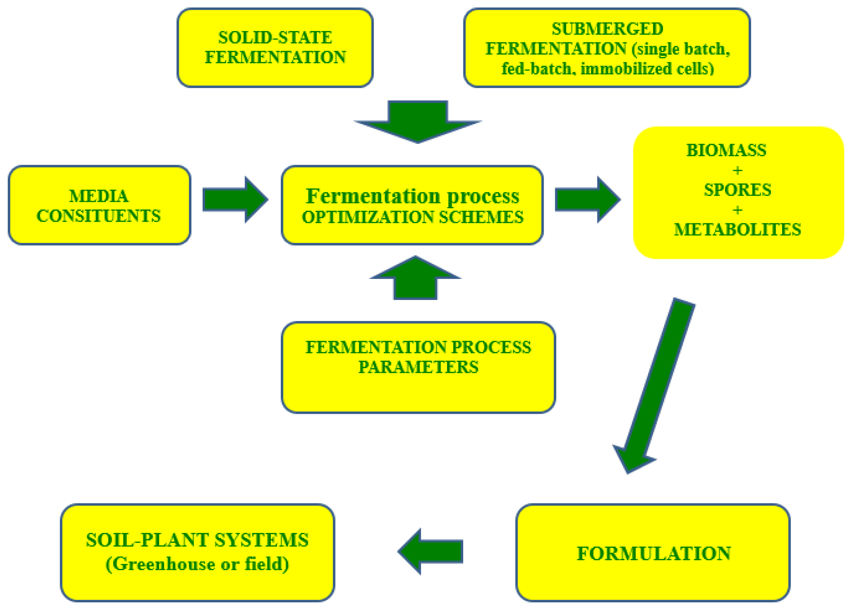 submerged fermentation method