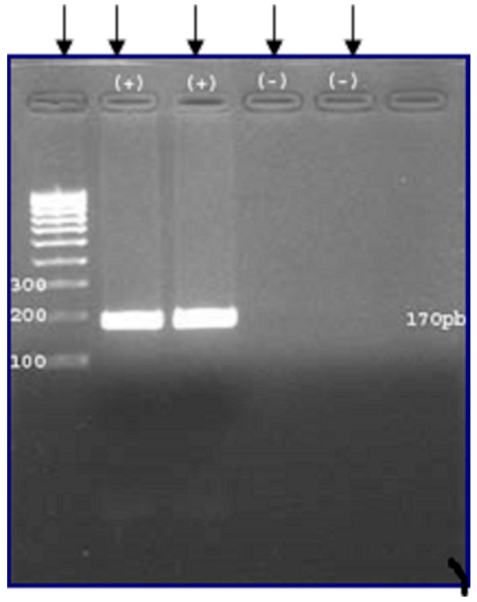 Microorganisms 09 01256 g003 Microorganisms 09 01256 g003