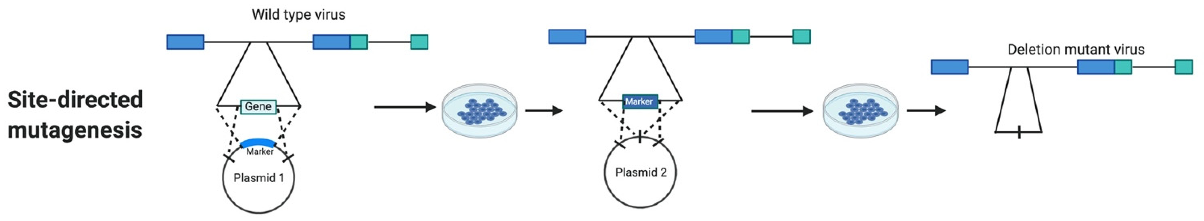 Microorganisms 09 01260 g002 Microorganisms 09 01260 g002