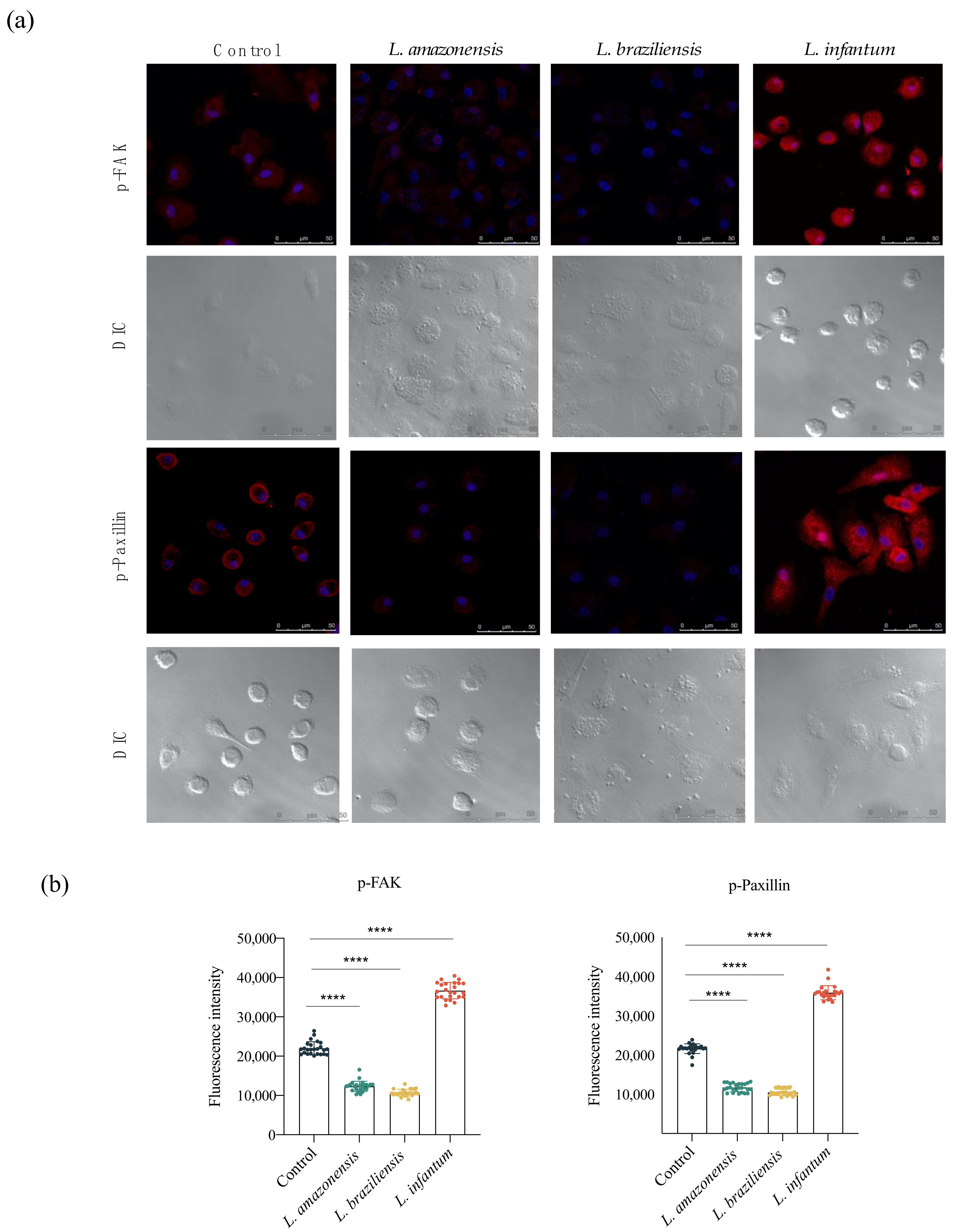 Microorganisms 09 01268 g003