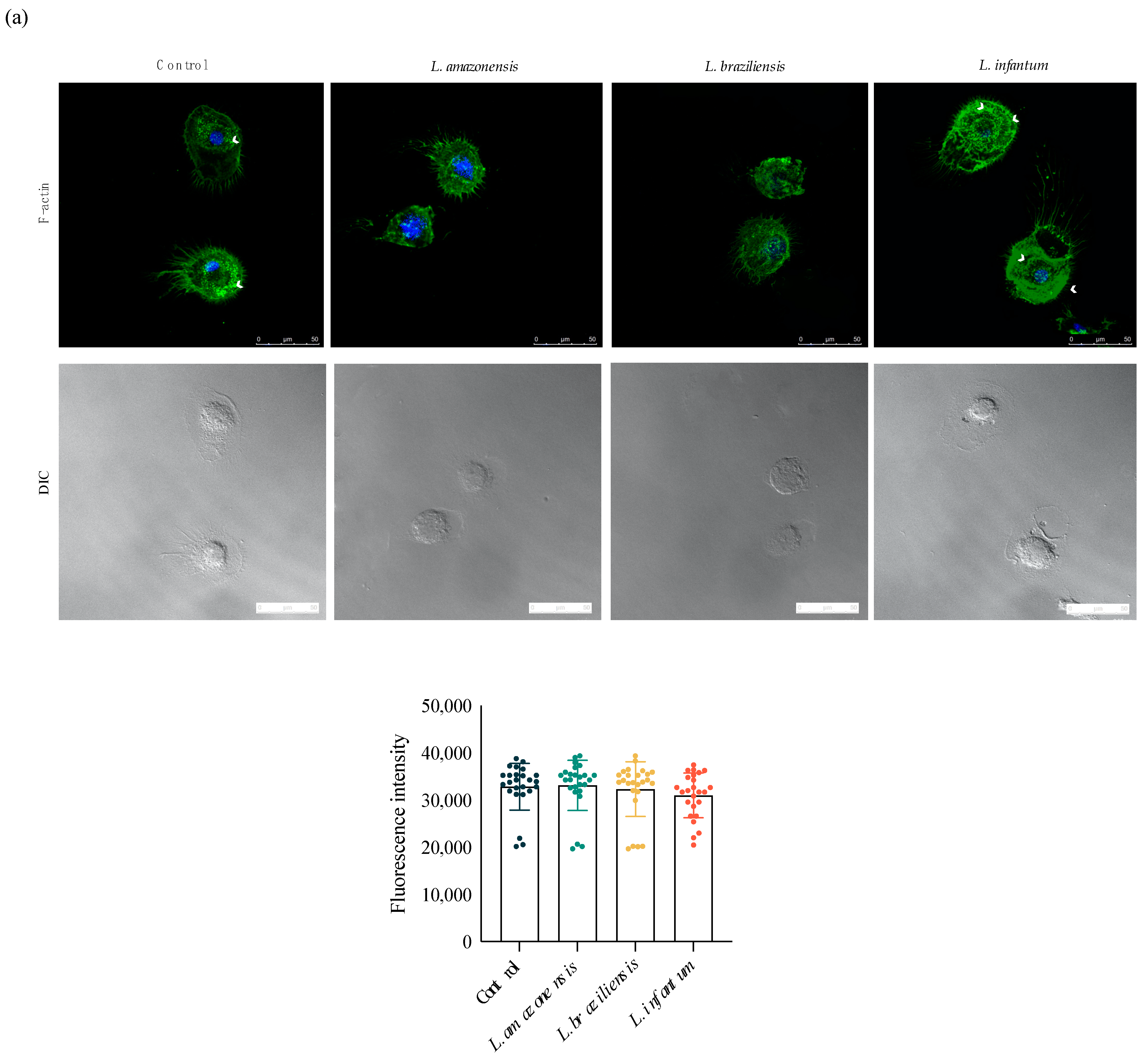 Microorganisms 09 01268 g004a