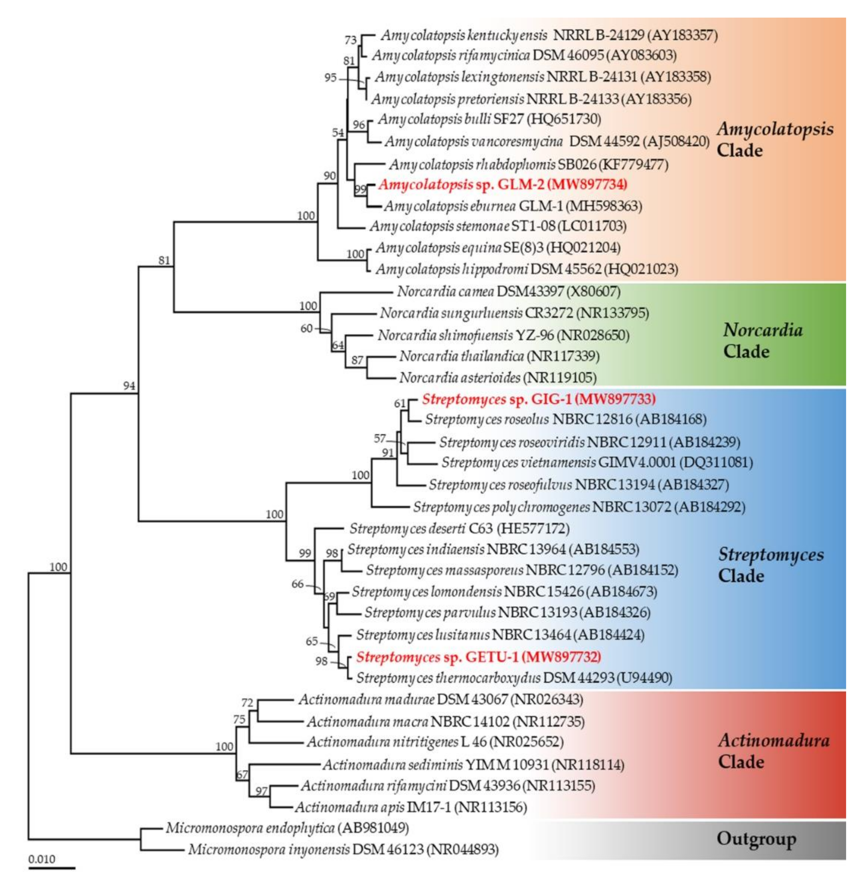 Microorganisms 09 01274 g002