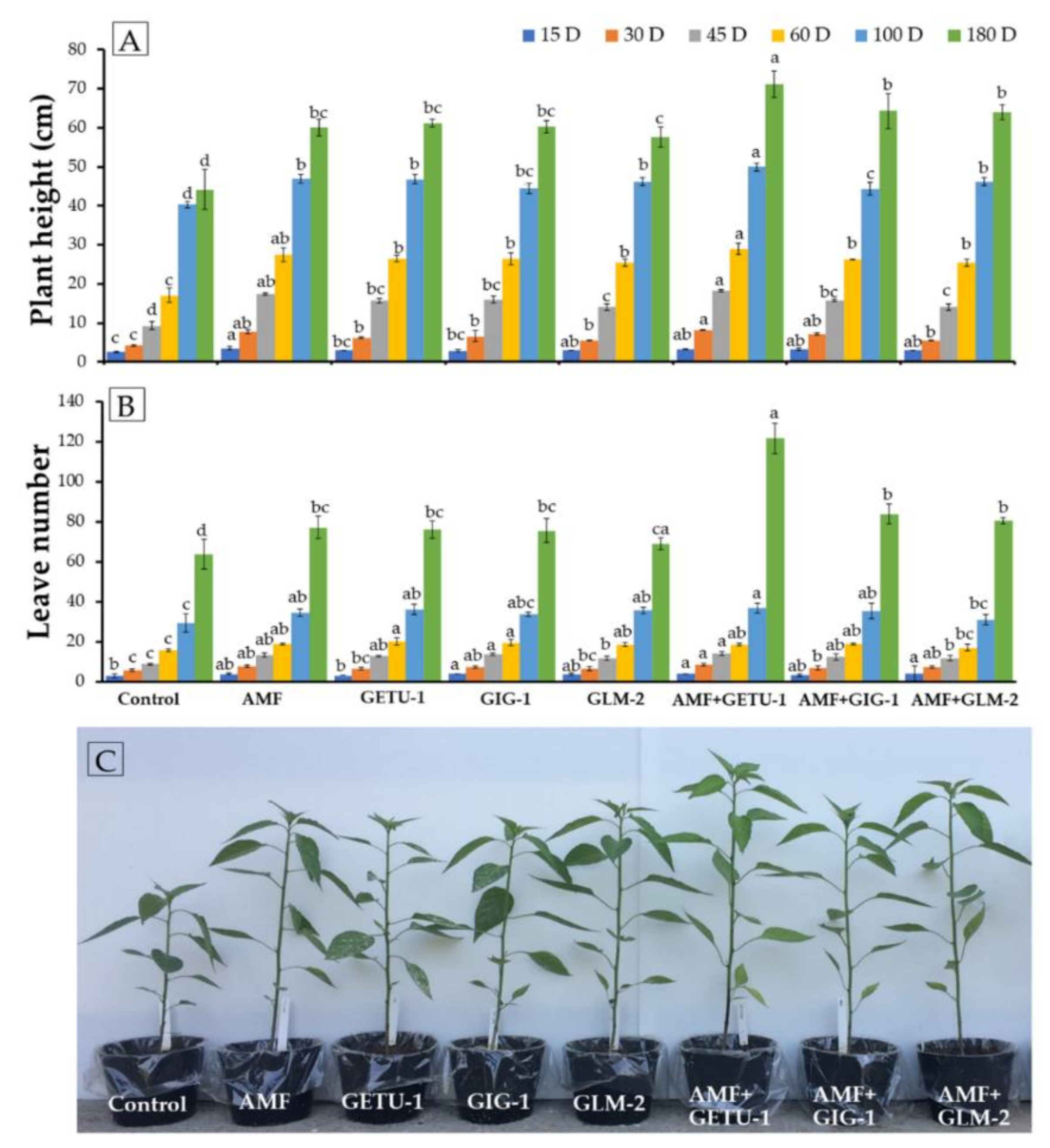 Microorganisms 09 01274 g004