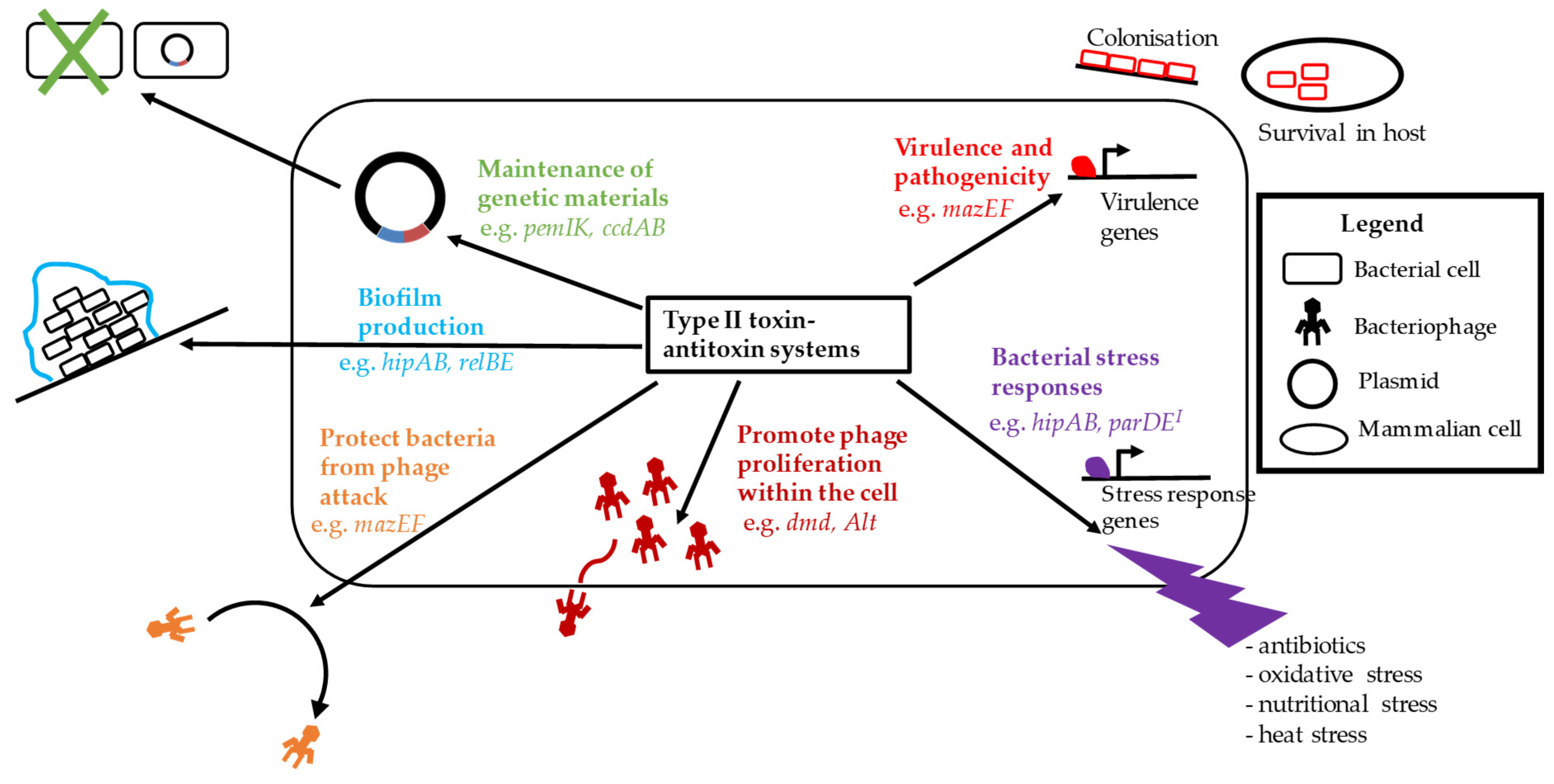 Microorganisms 09 01276 g002 Microorganisms 09 01276 g002