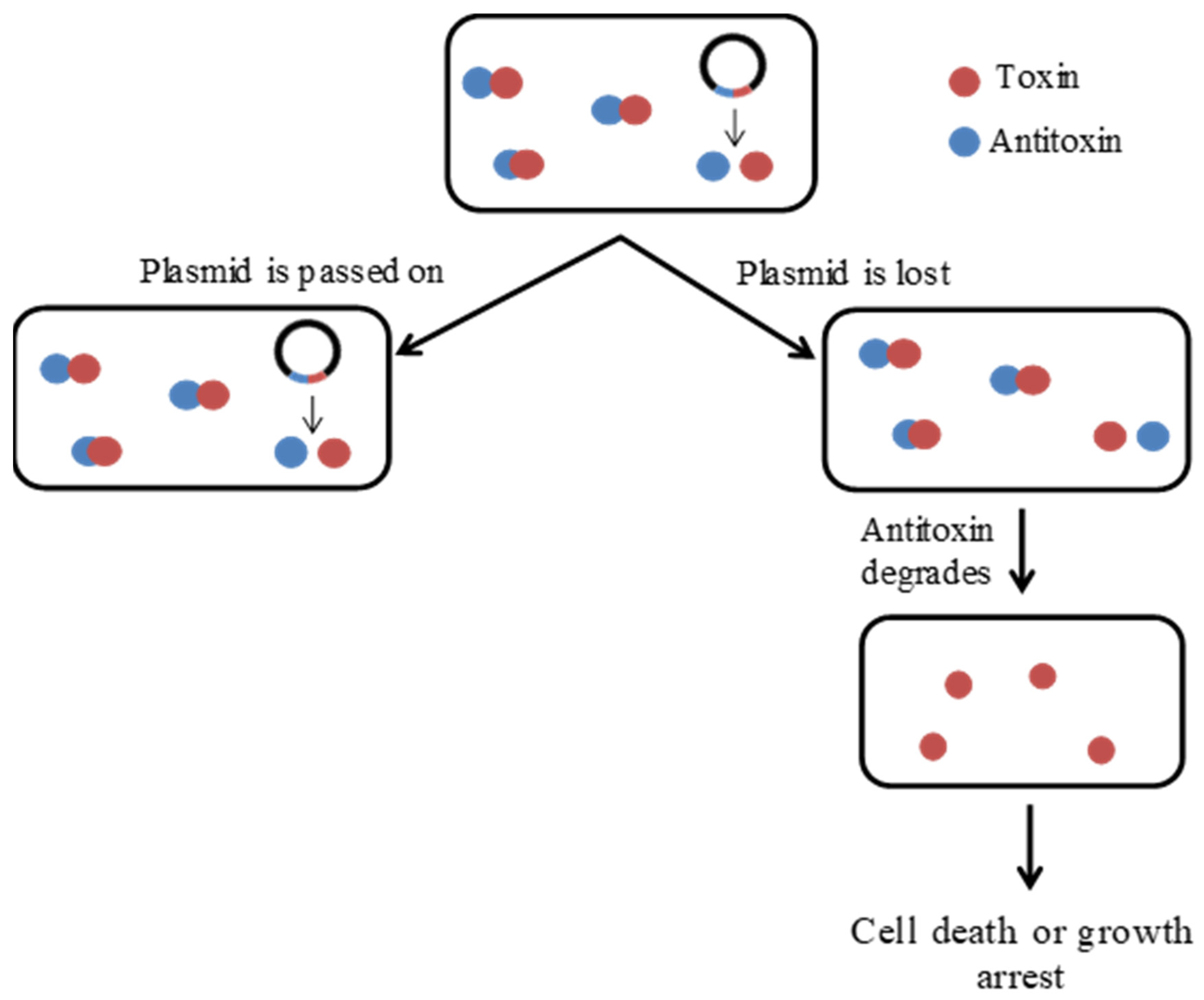 Microorganisms 09 01276 g003 Microorganisms 09 01276 g003