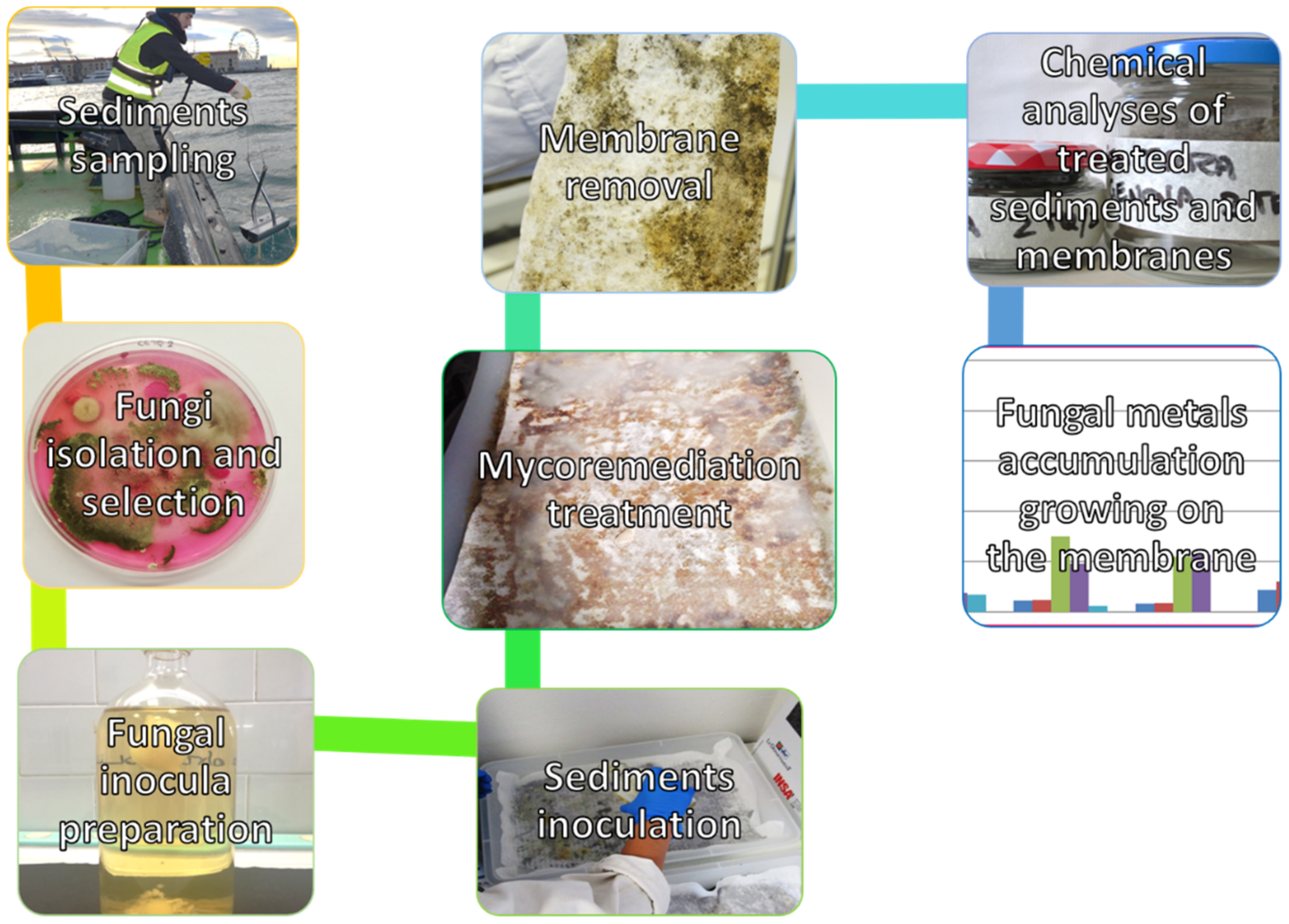 Microorganisms 09 01279 g001 Microorganisms 09 01279 g001