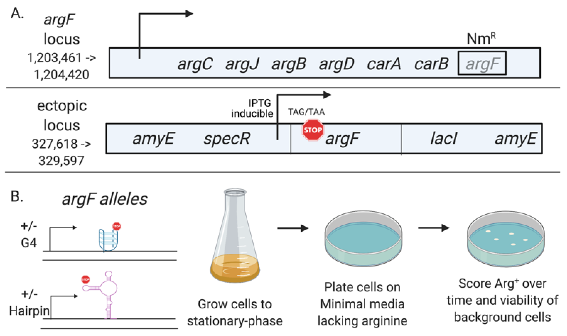 Microorganisms 09 01284 g001 Microorganisms 09 01284 g001
