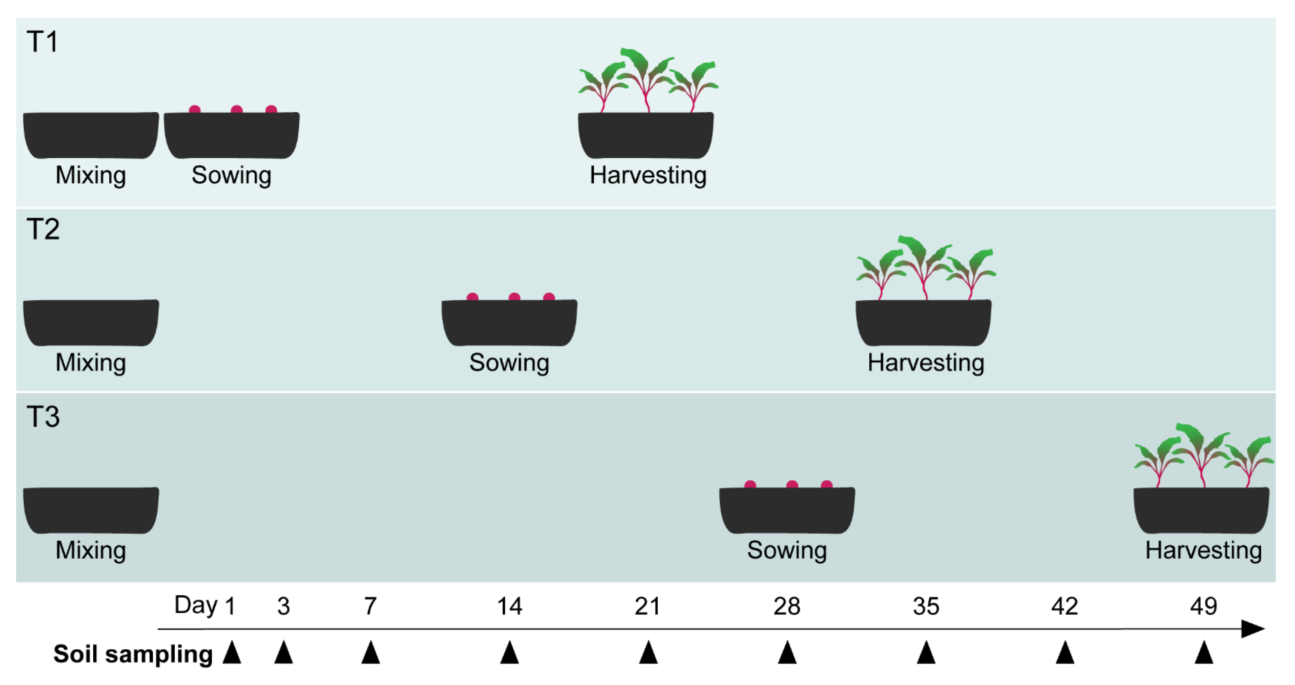 Microorganisms 09 01285 g002