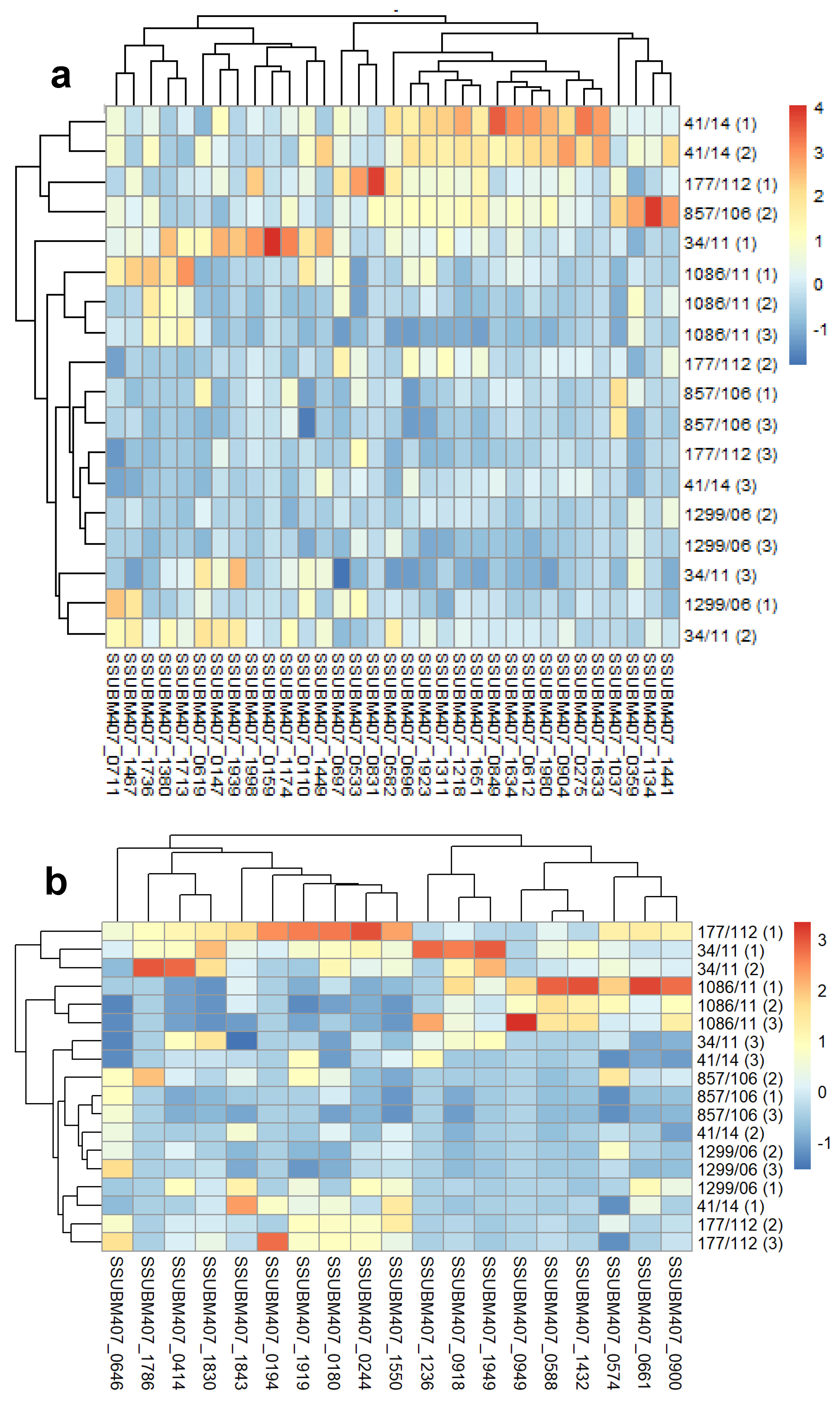 Microorganisms 09 01287 g002a