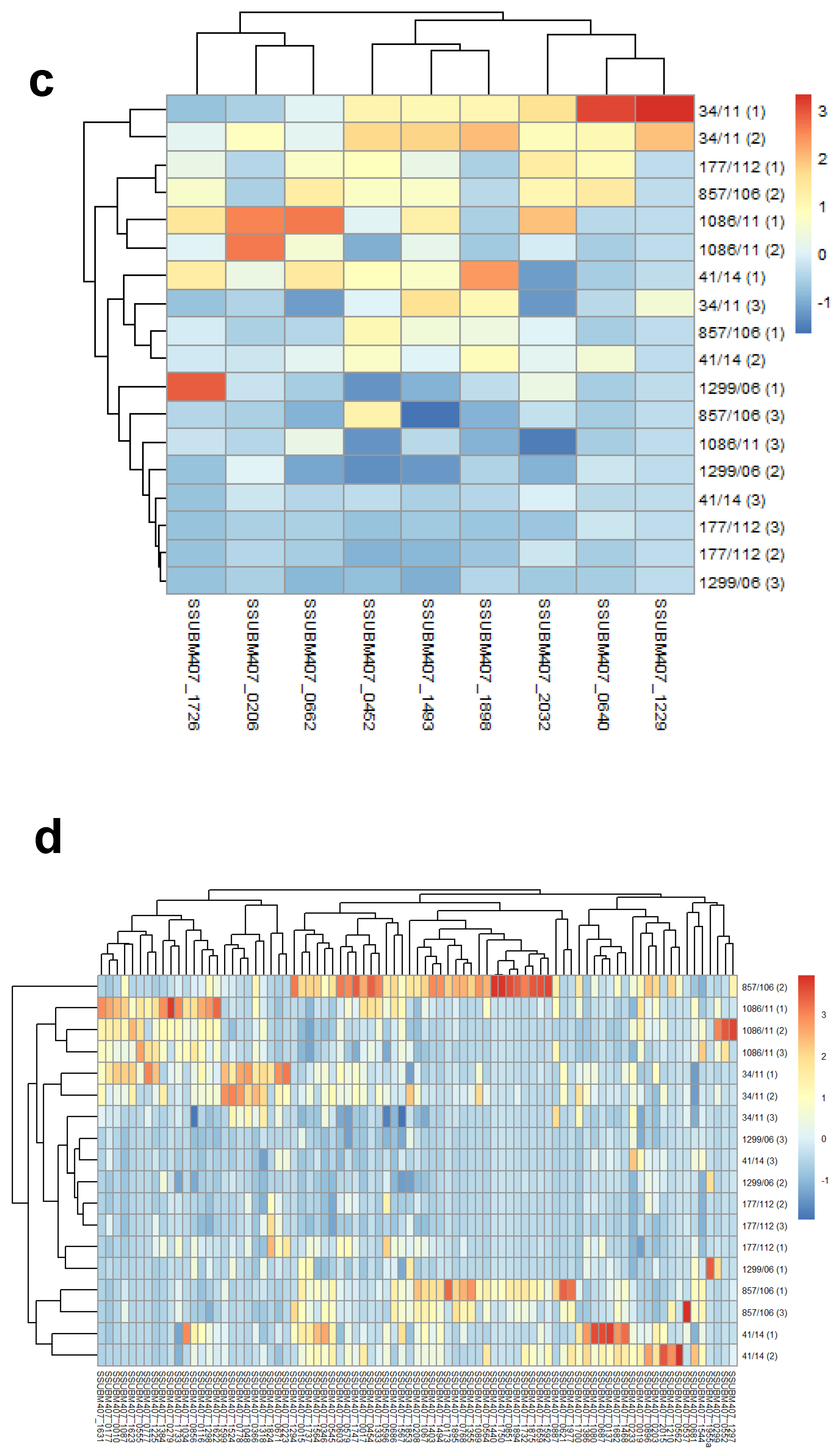 Microorganisms 09 01287 g002b
