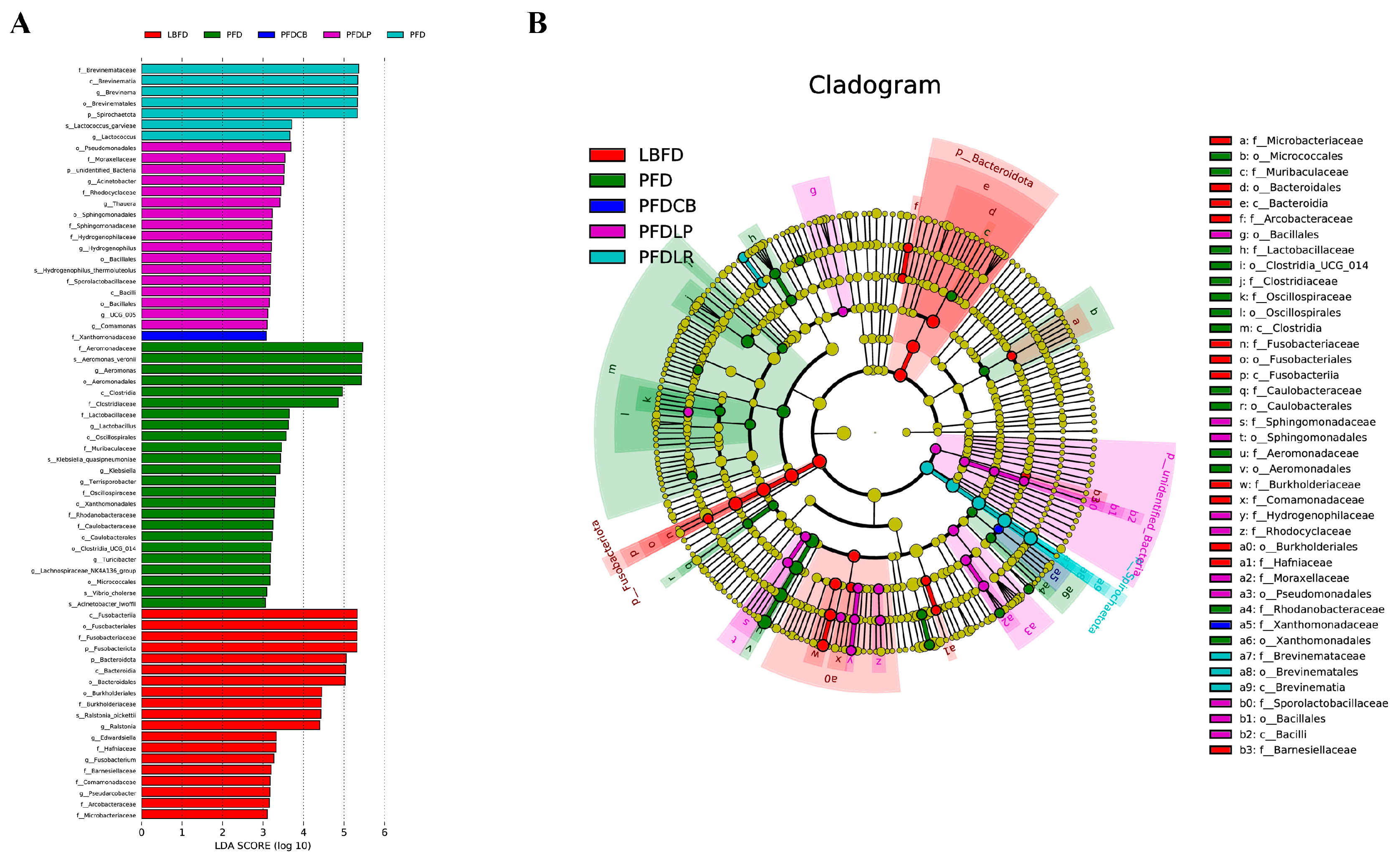 Microorganisms 09 01288 g010