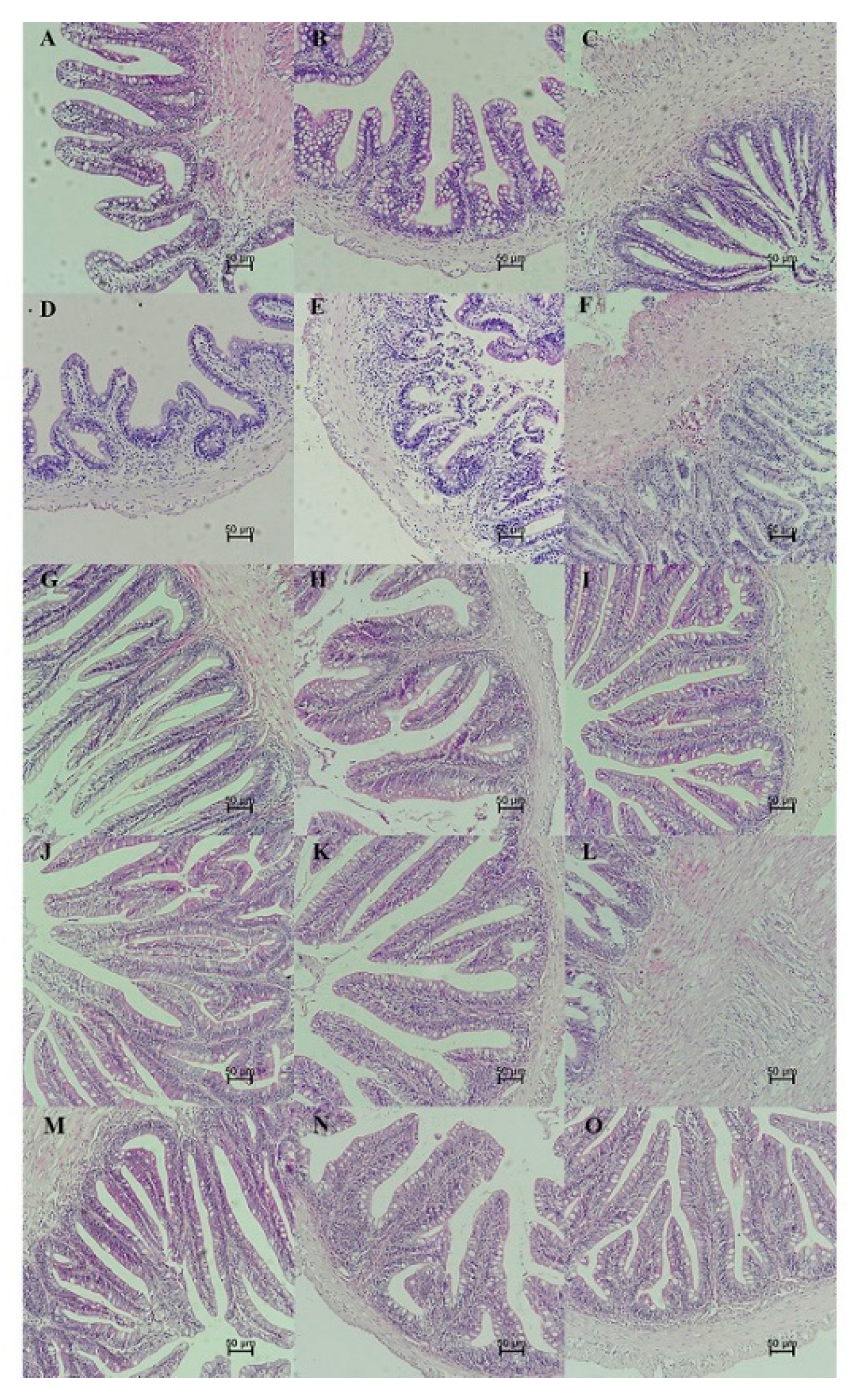 Microorganisms 09 01288 g012