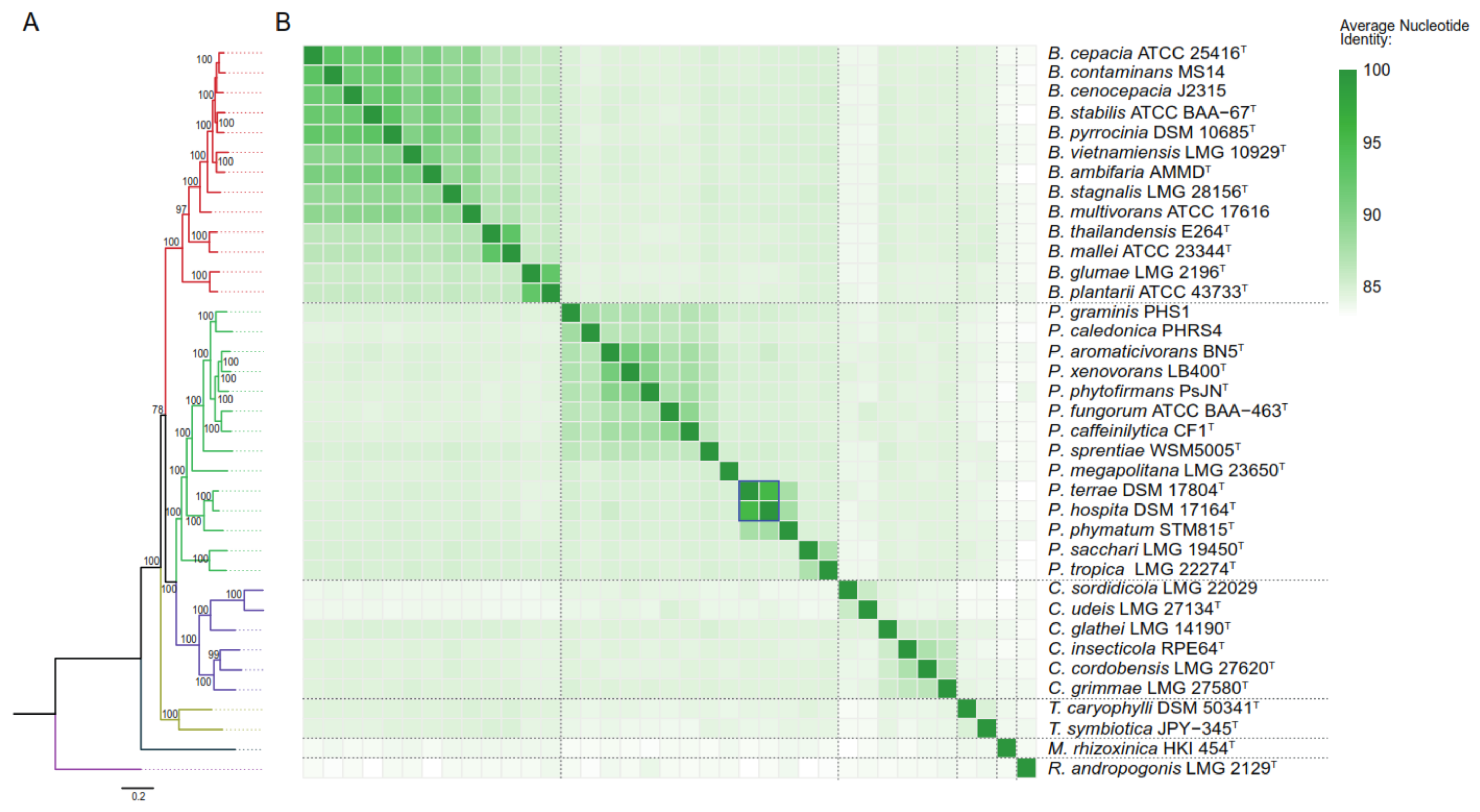 Microorganisms 09 01290 g001 Microorganisms 09 01290 g001