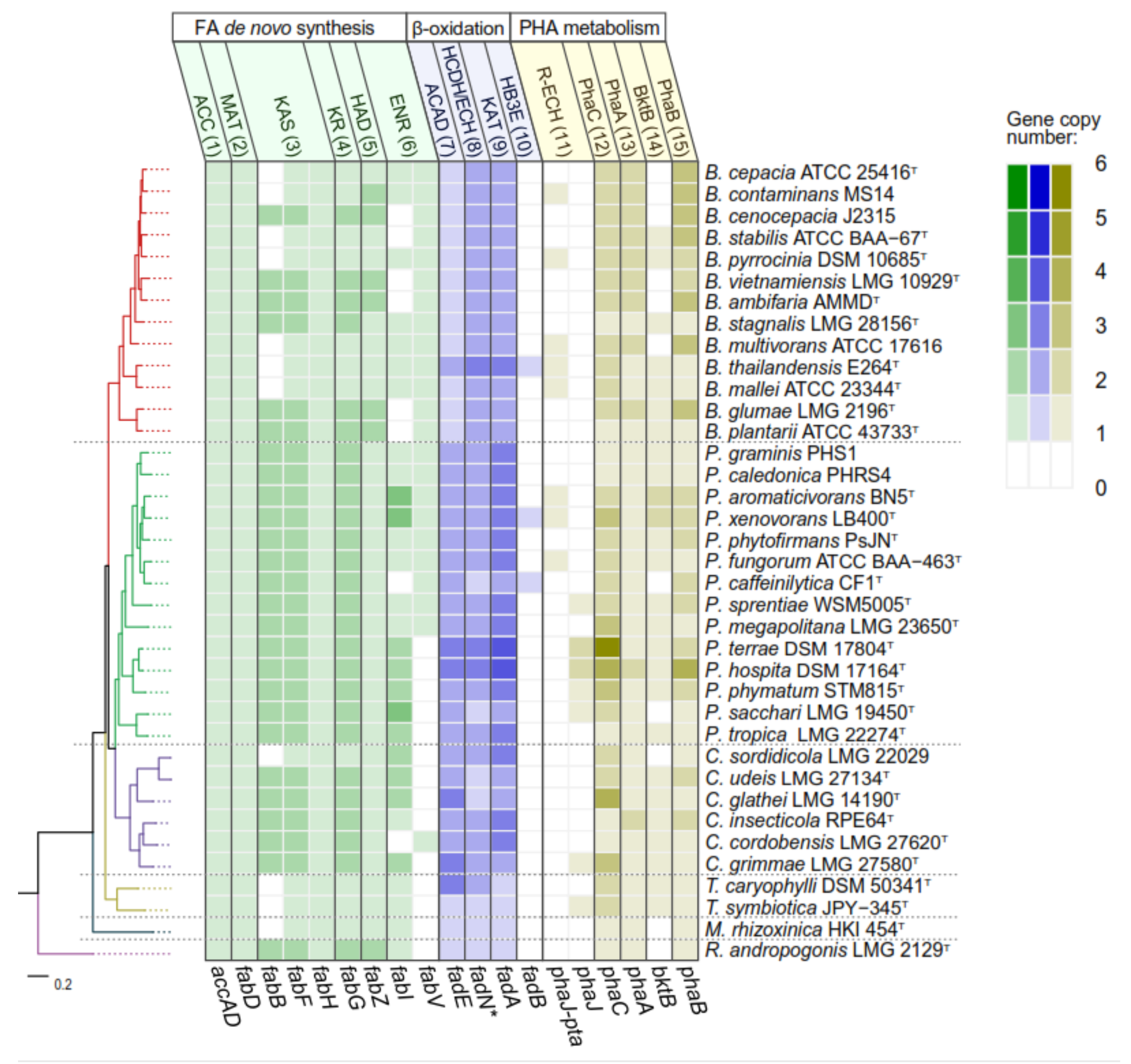 Microorganisms 09 01290 g005 Microorganisms 09 01290 g005
