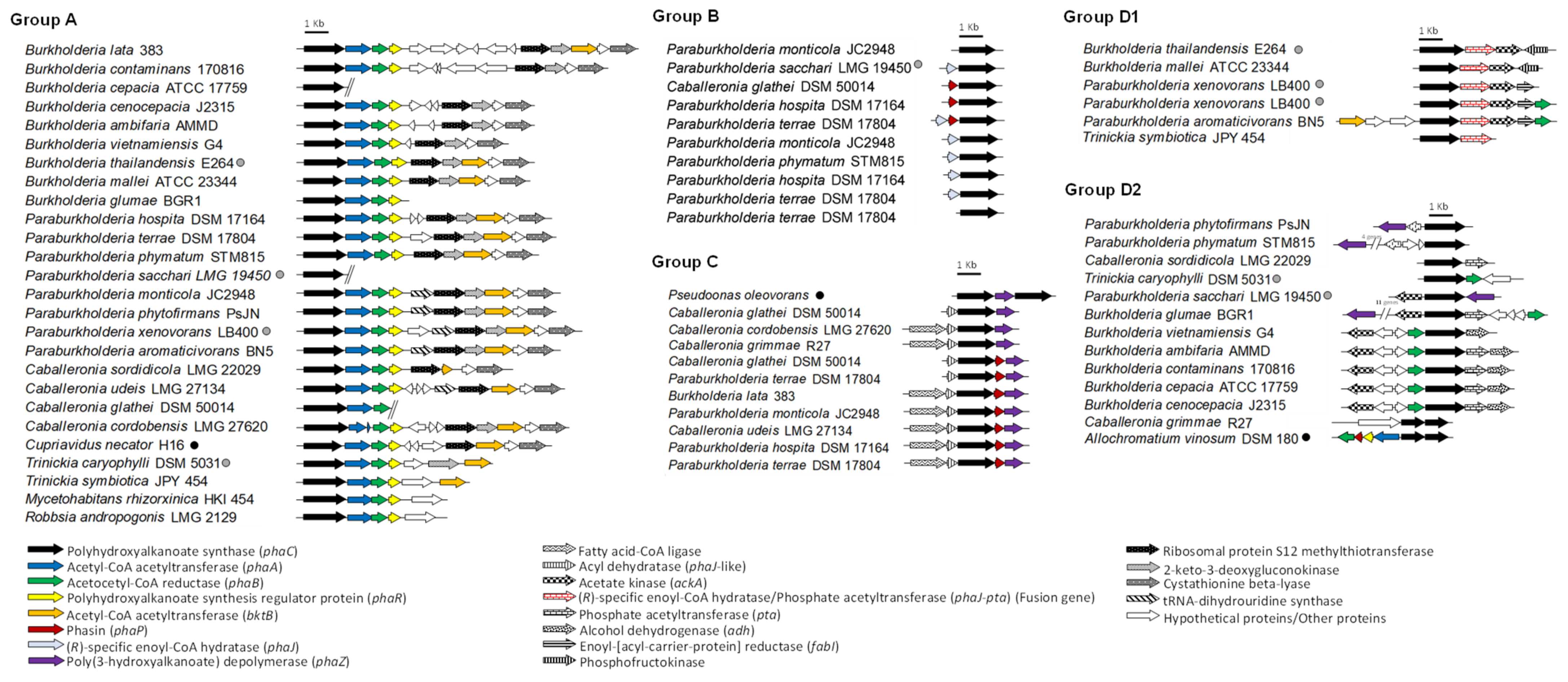 Microorganisms 09 01290 g007 Microorganisms 09 01290 g007