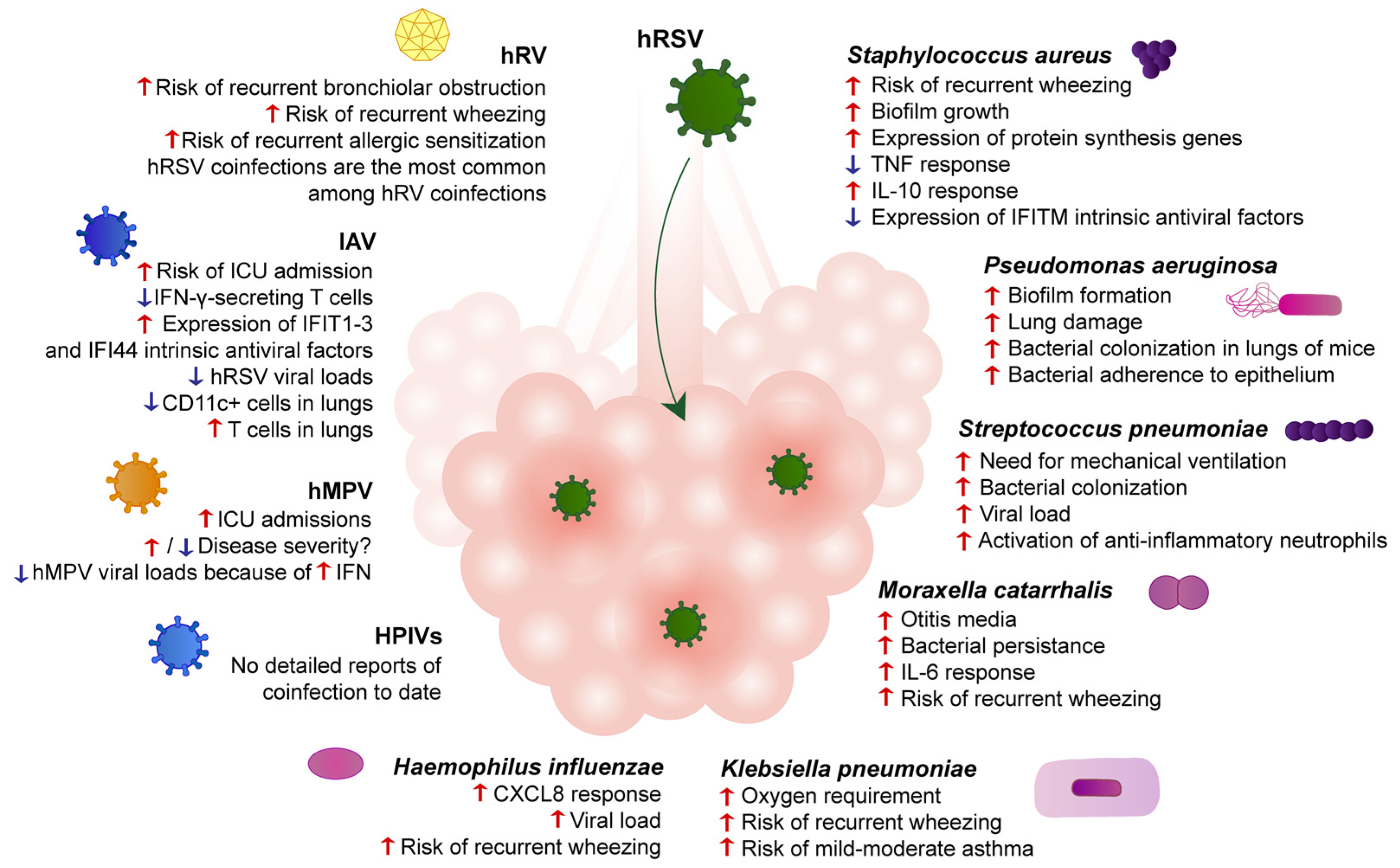 Influenza and viral cases on the ascent