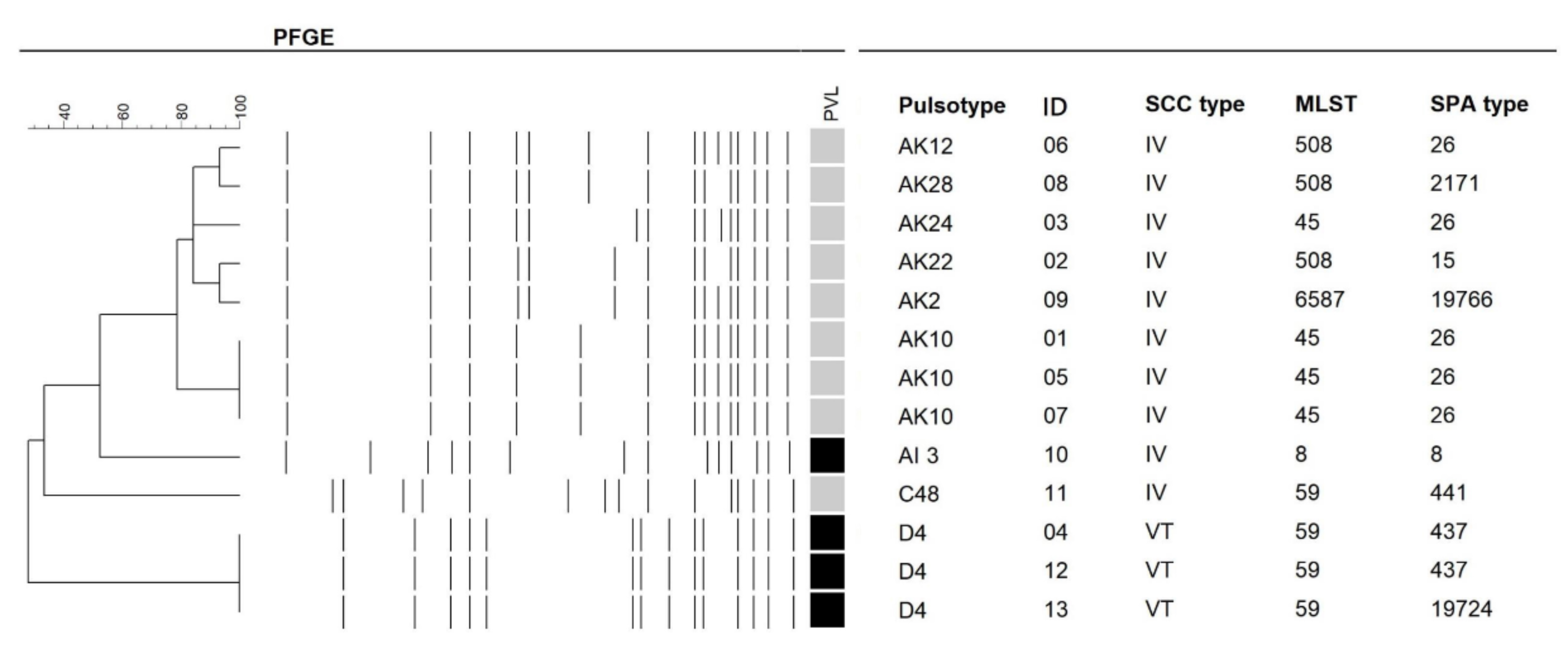 Microorganisms 09 01296 g001