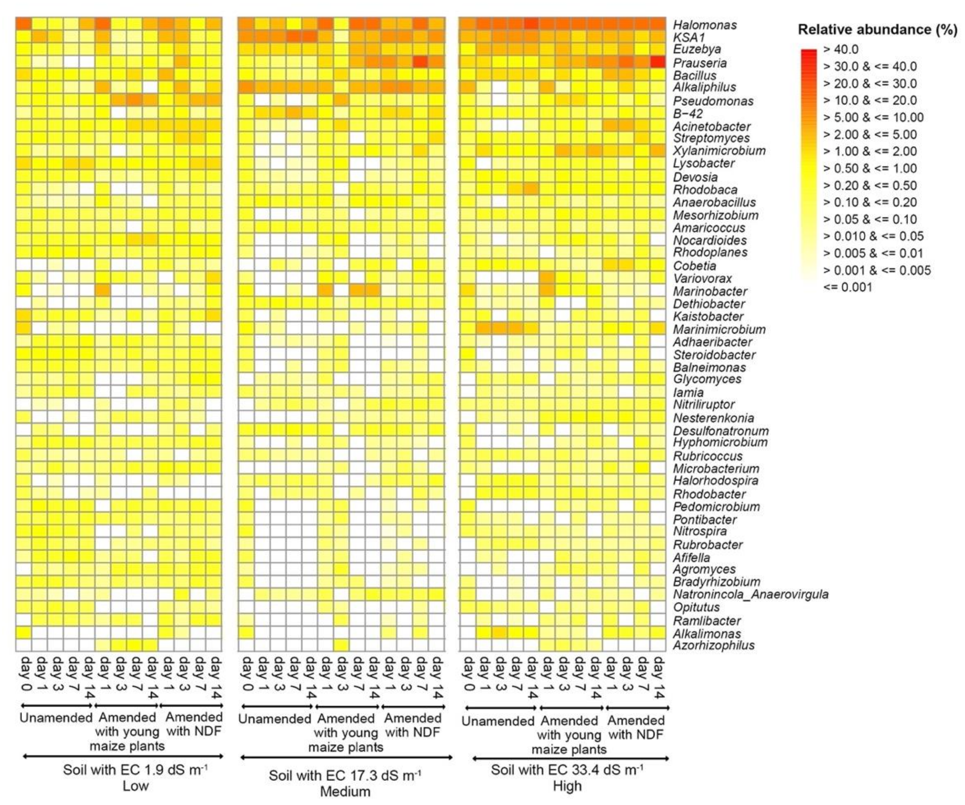 Microorganisms 09 01297 g002