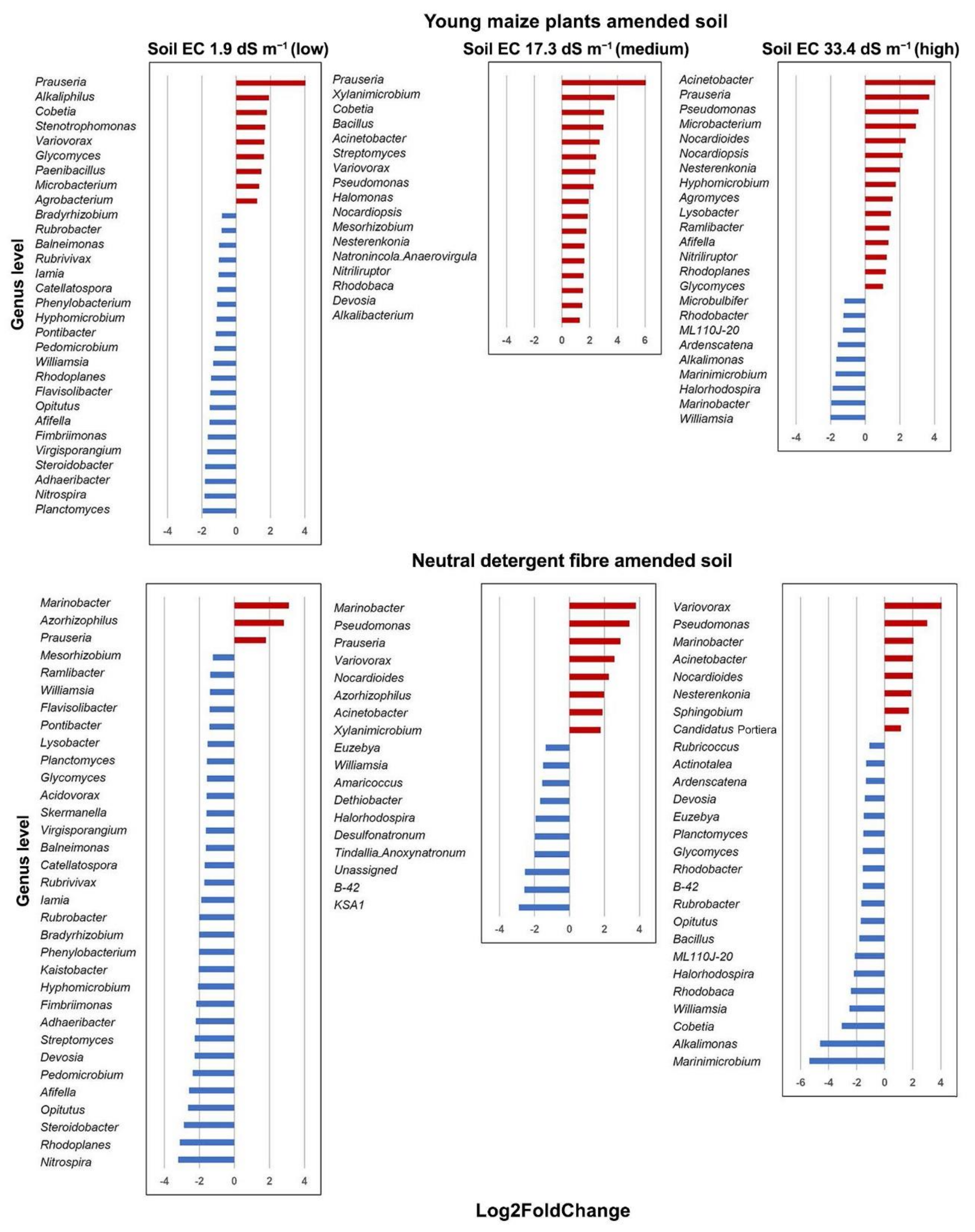Microorganisms 09 01297 g006