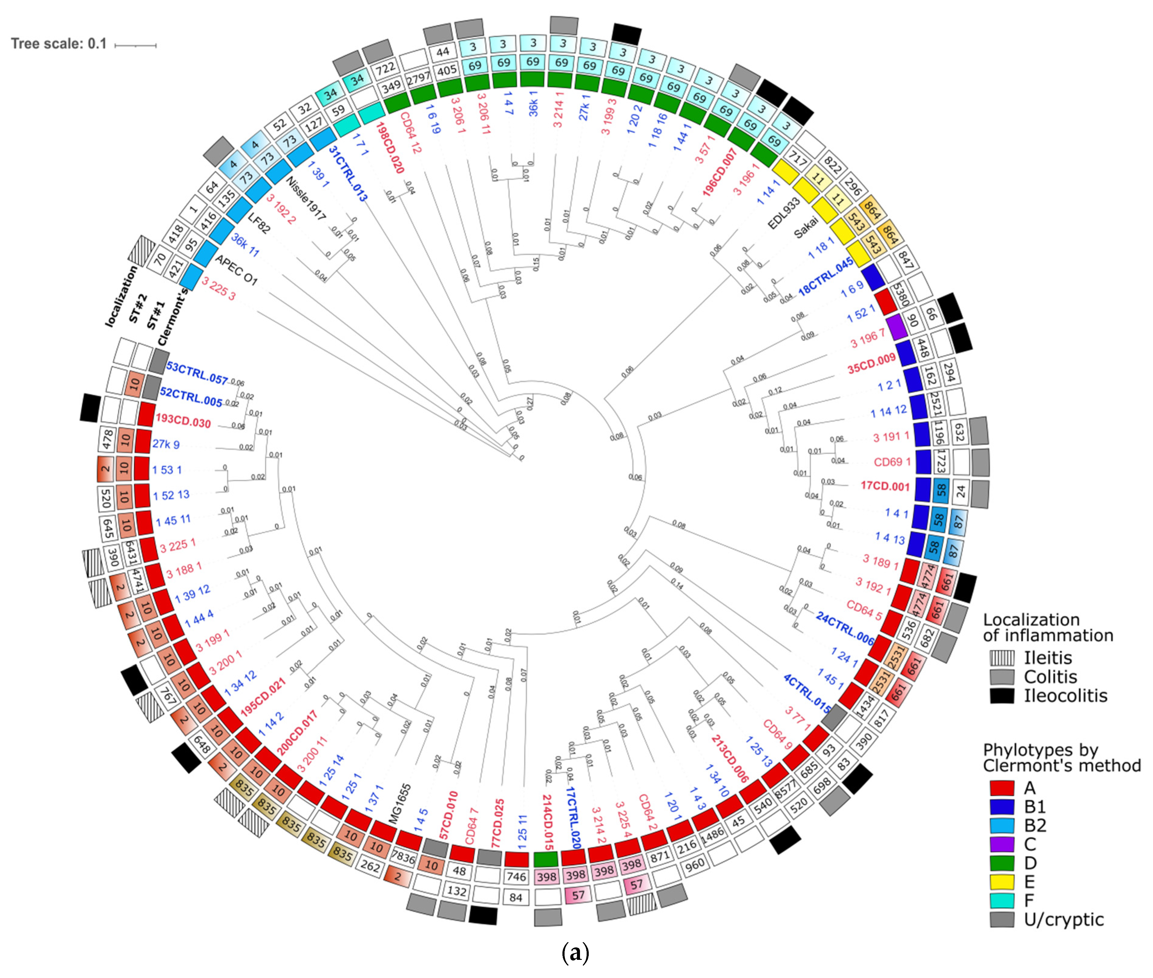 Microorganisms 09 01299 g001a