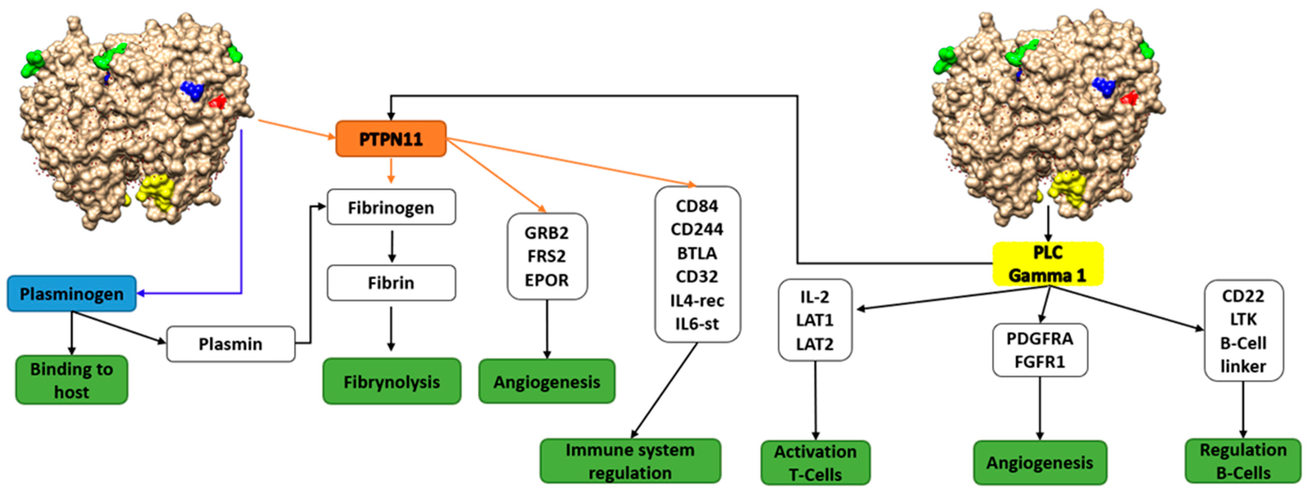 Microorganisms 09 01300 g003 Microorganisms 09 01300 g003