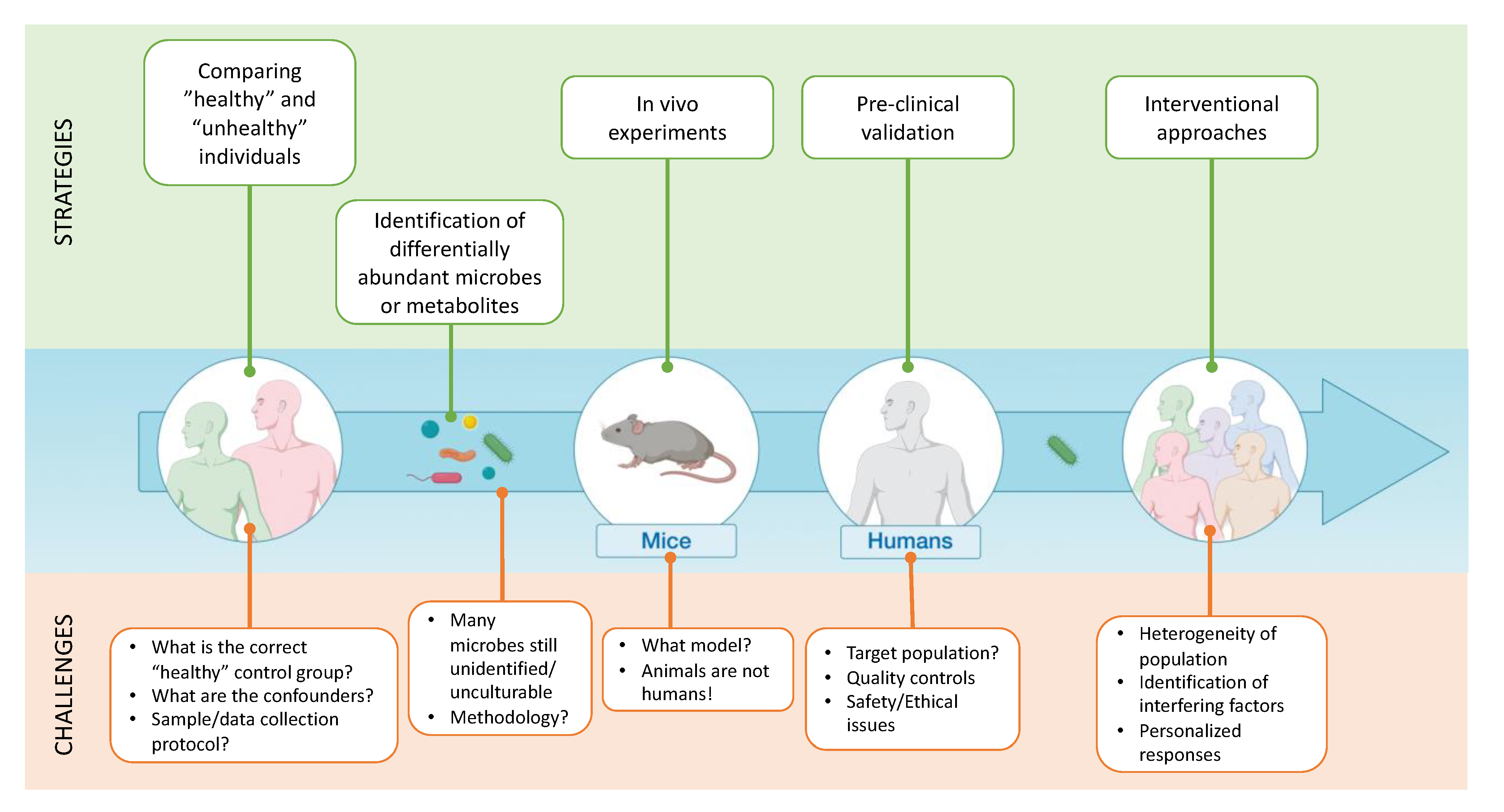 Microorganisms 09 01302 g003 Microorganisms 09 01302 g003