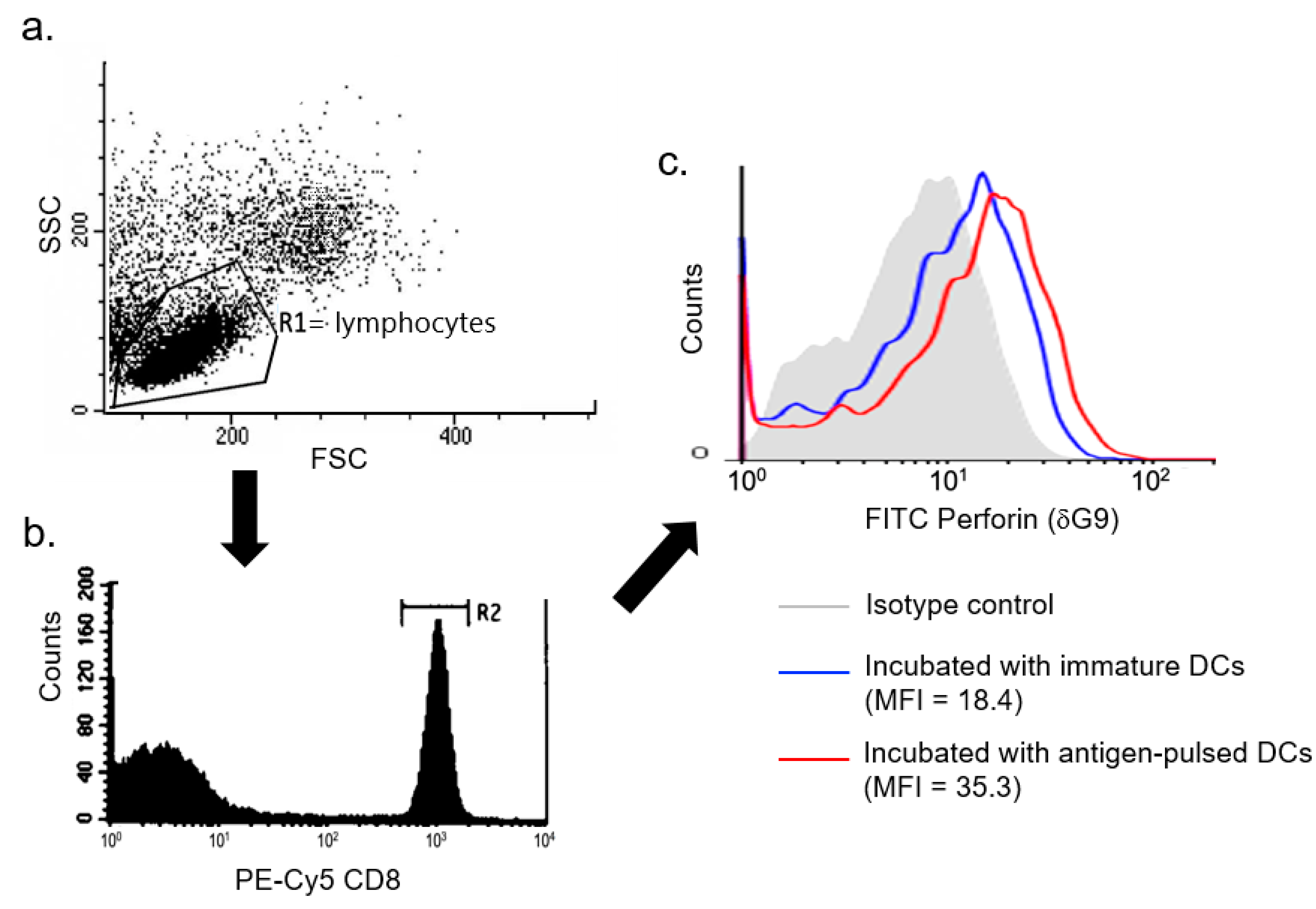 Microorganisms 09 01303 g001