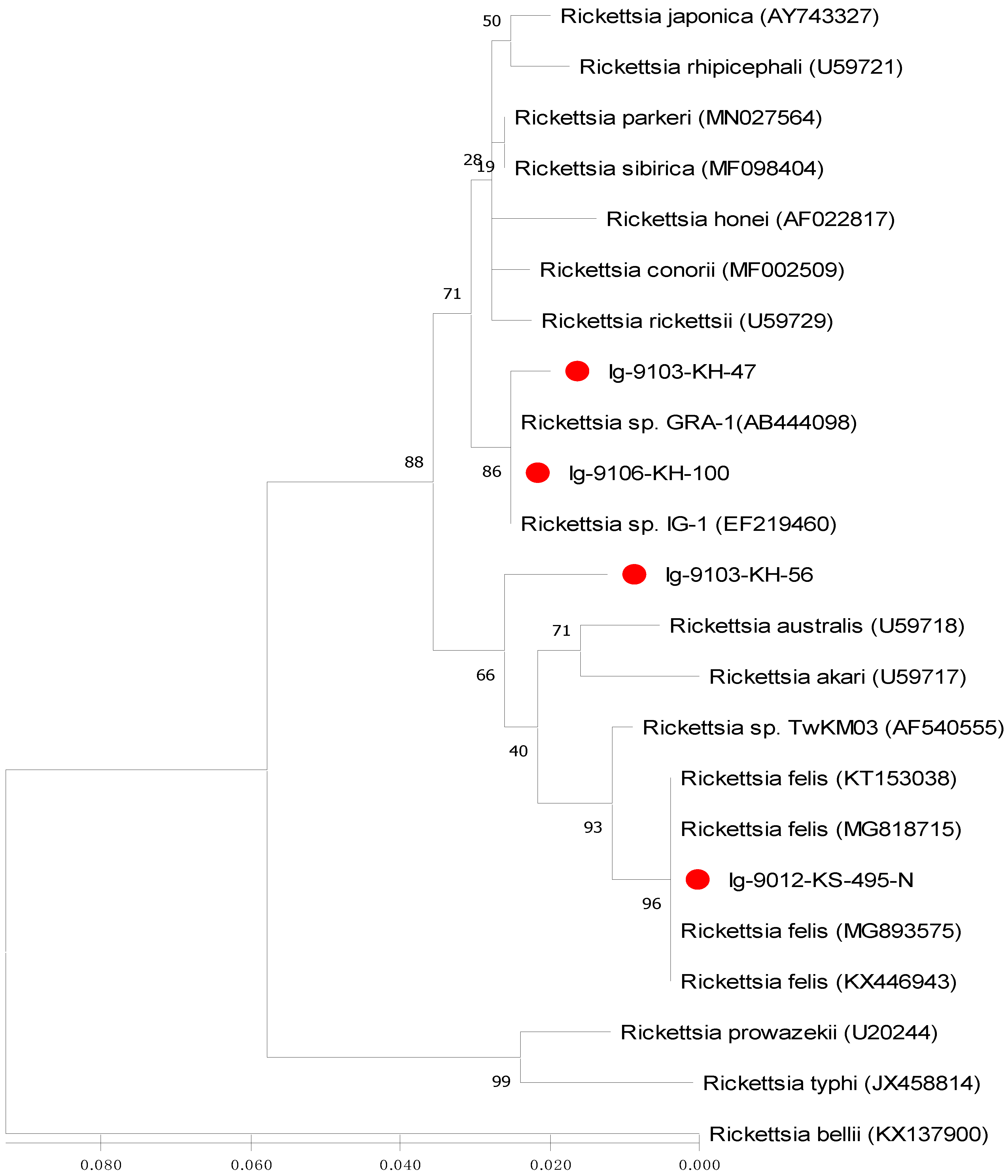 Microorganisms 09 01309 g003 Microorganisms 09 01309 g003