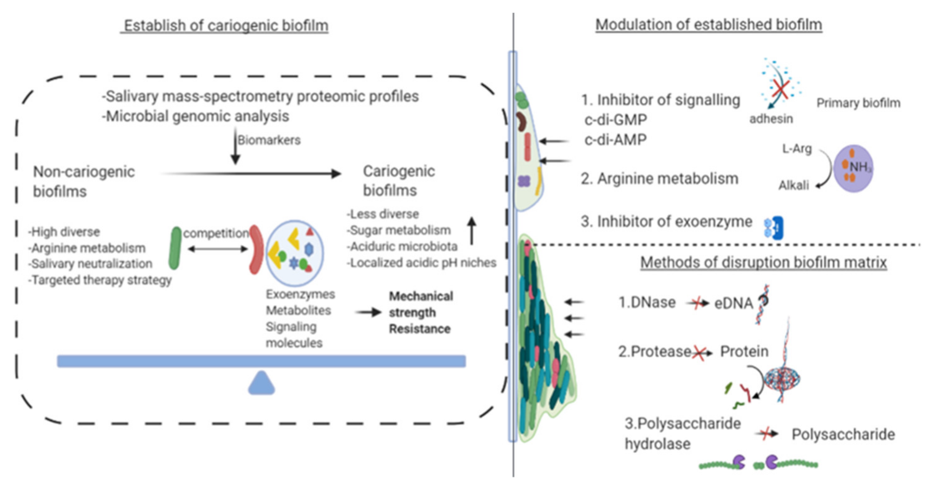 Microorganisms 09 01311 g002 Microorganisms 09 01311 g002