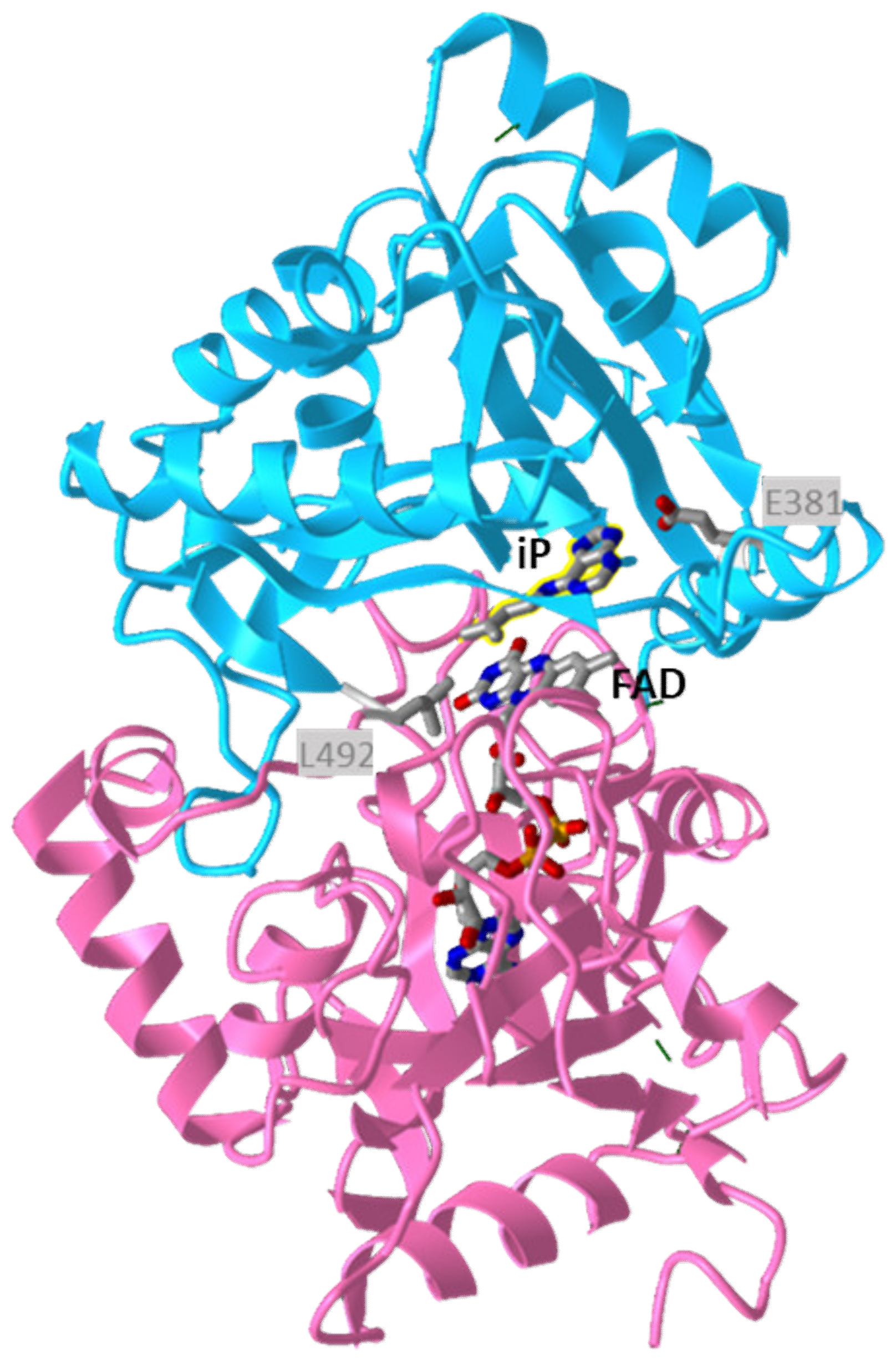 Microorganisms 09 01314 g006 Microorganisms 09 01314 g006