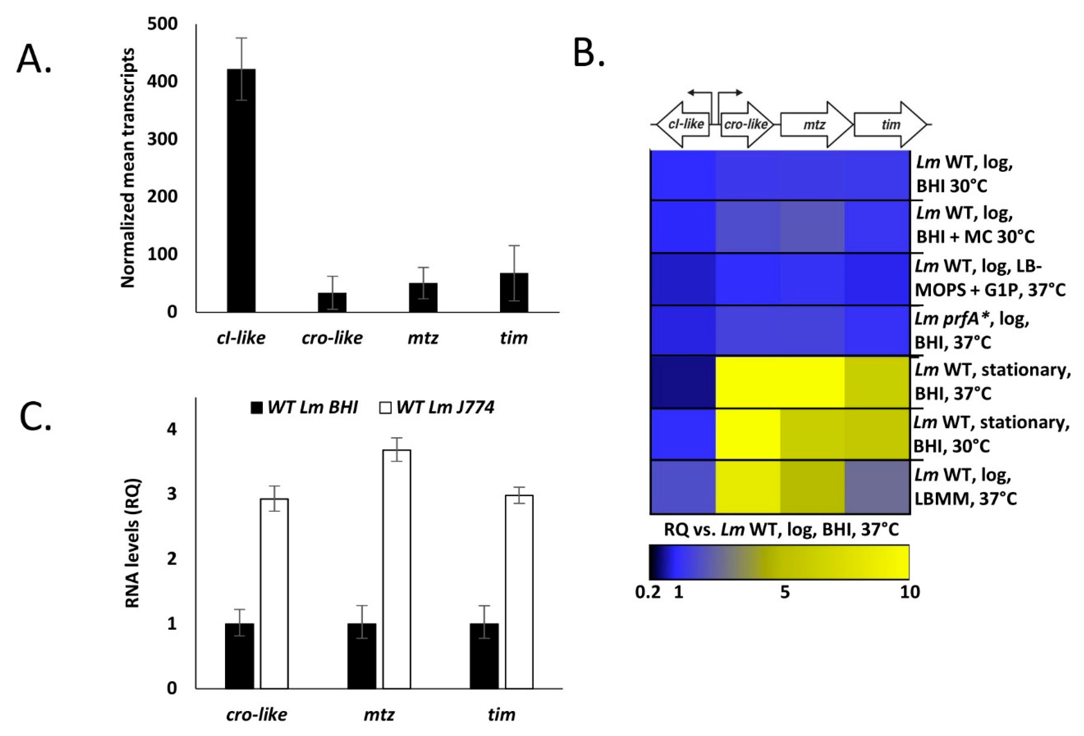 Microorganisms 09 01323 g003