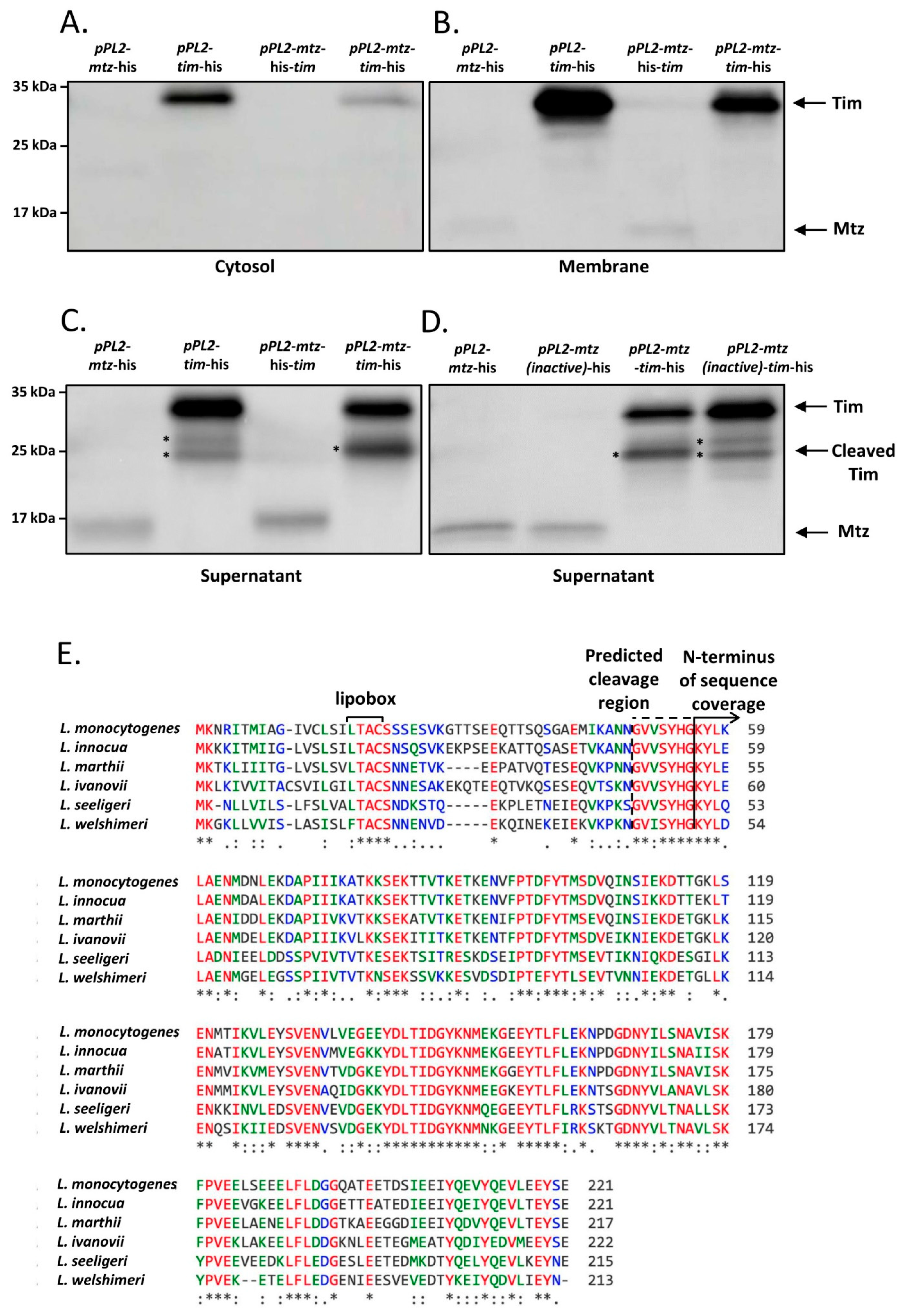 Microorganisms 09 01323 g004