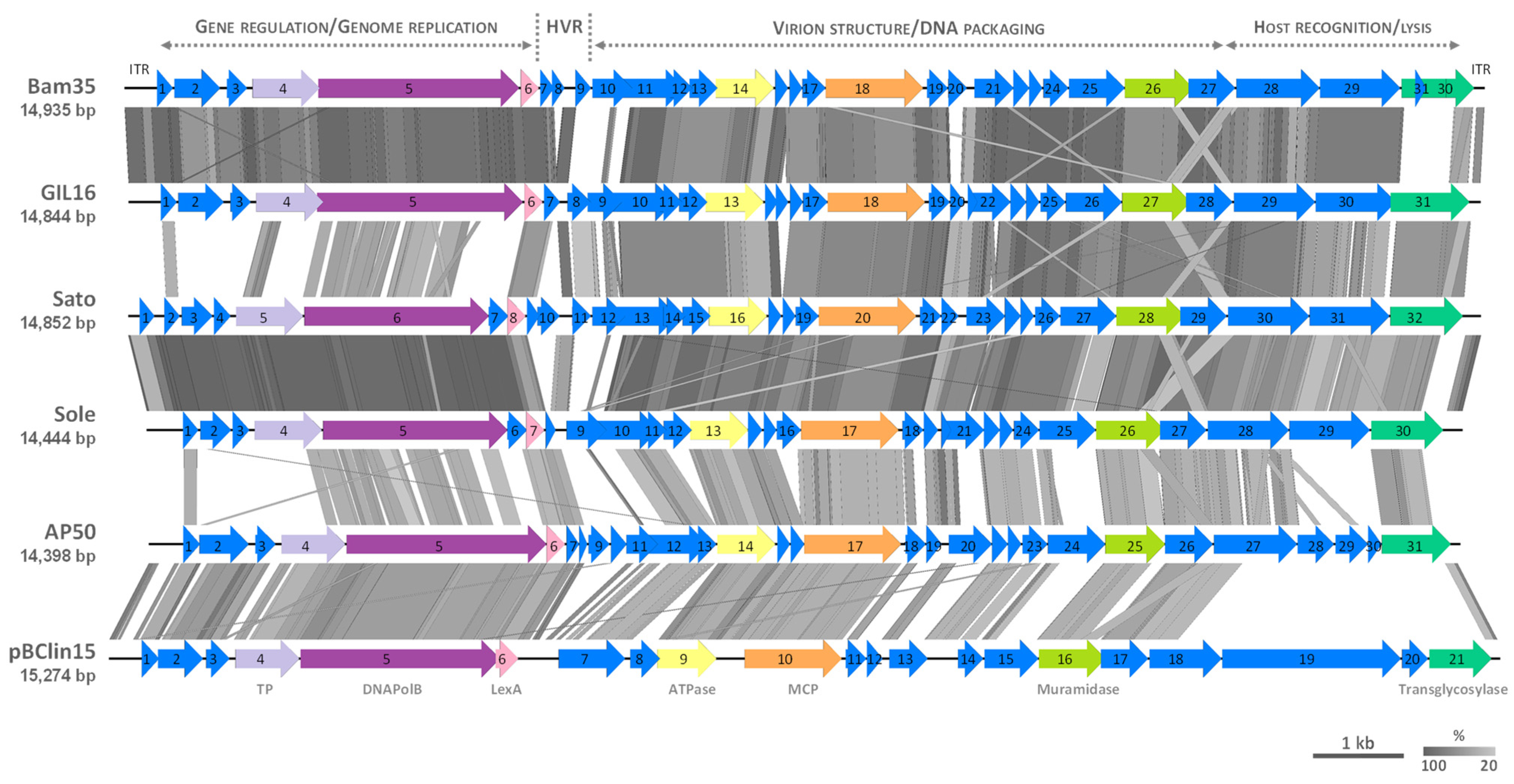 Microorganisms 09 01335 g003 Microorganisms 09 01335 g003