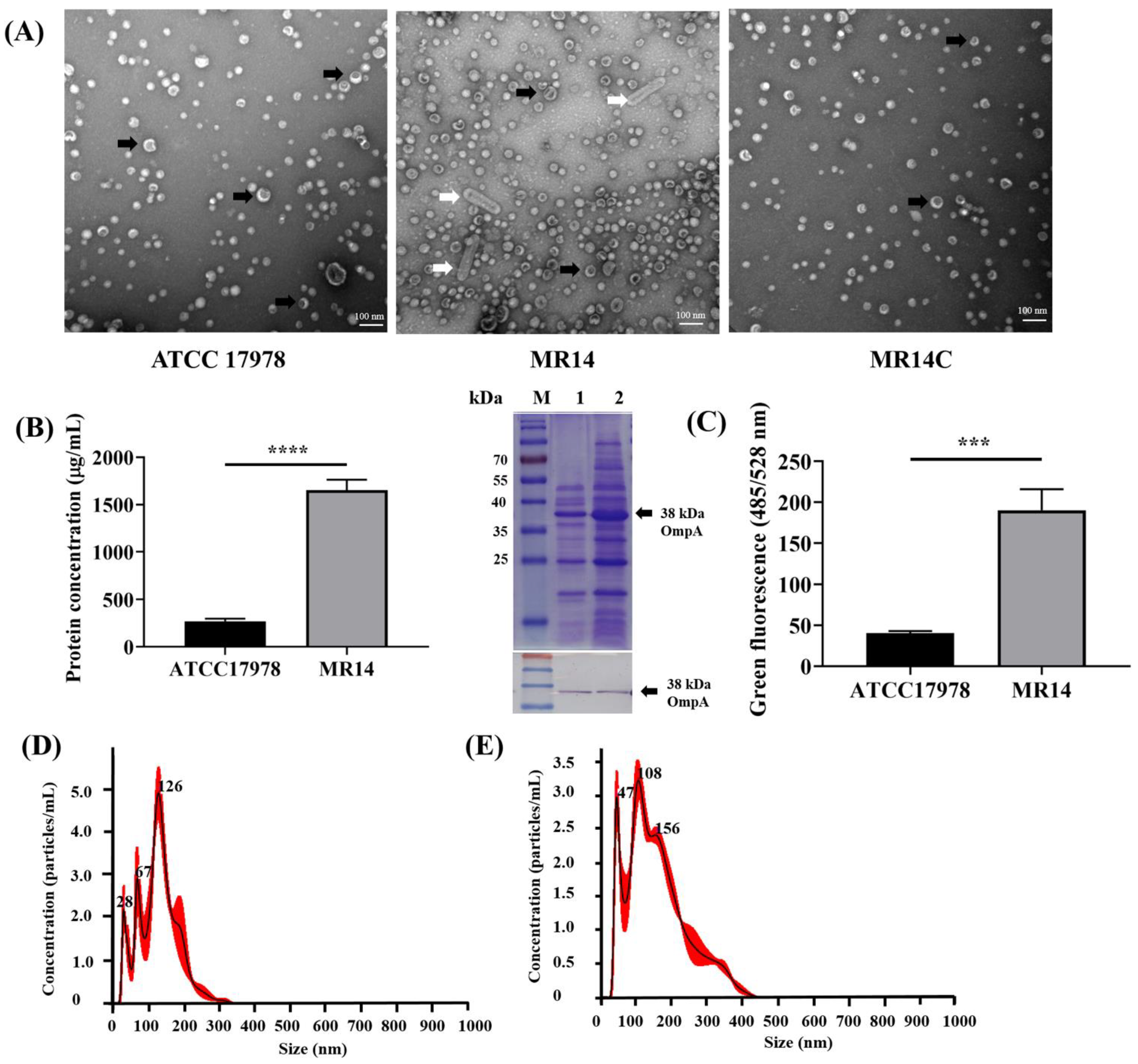 Microorganisms 09 01336 g008 Microorganisms 09 01336 g008