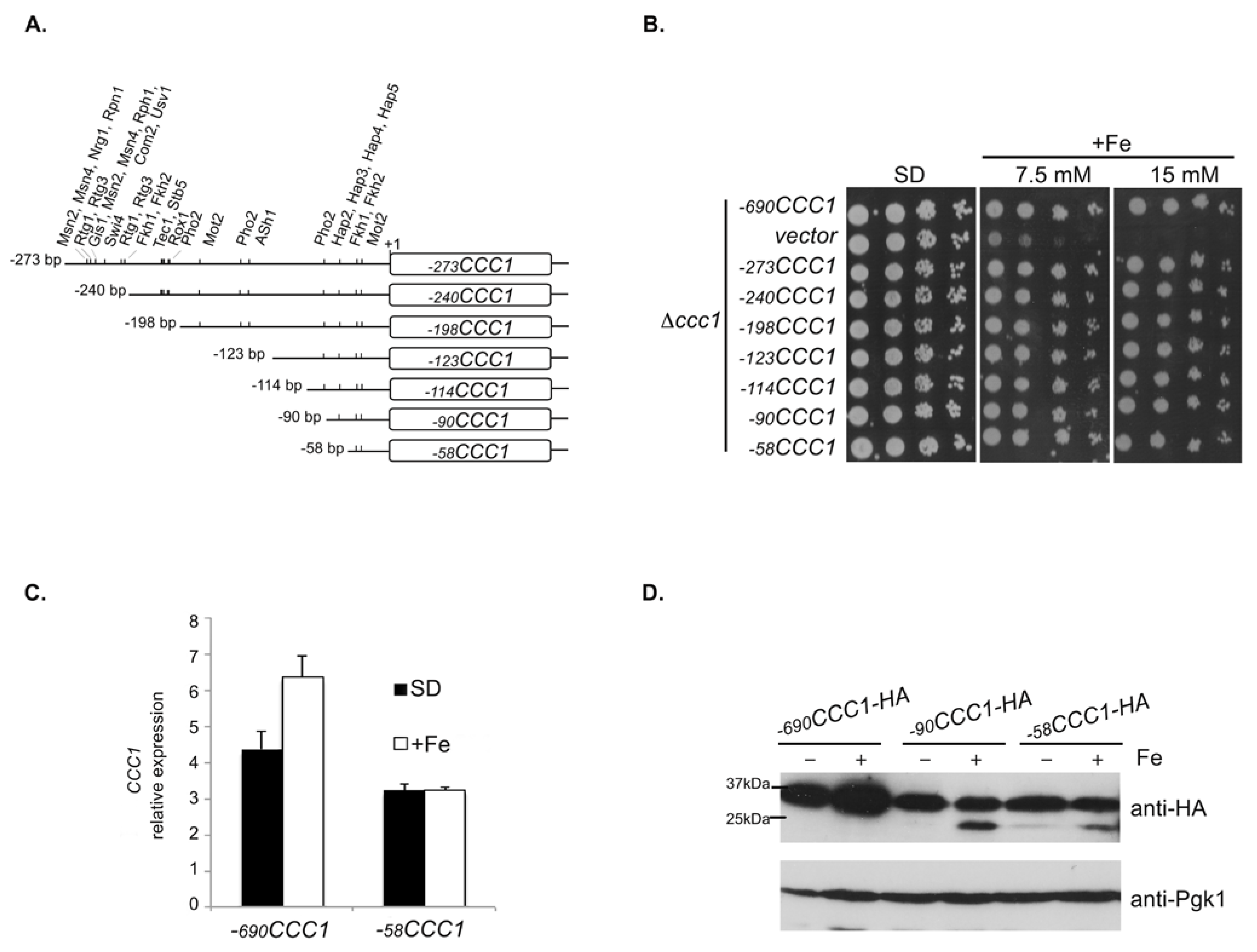 Microorganisms 09 01337 g001