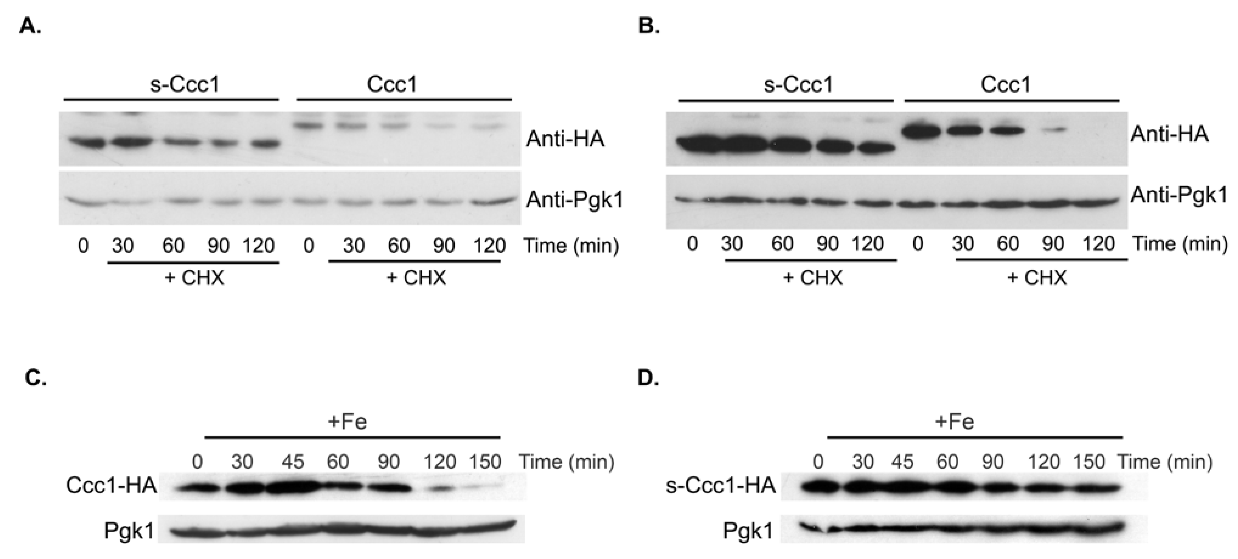 Microorganisms 09 01337 g005