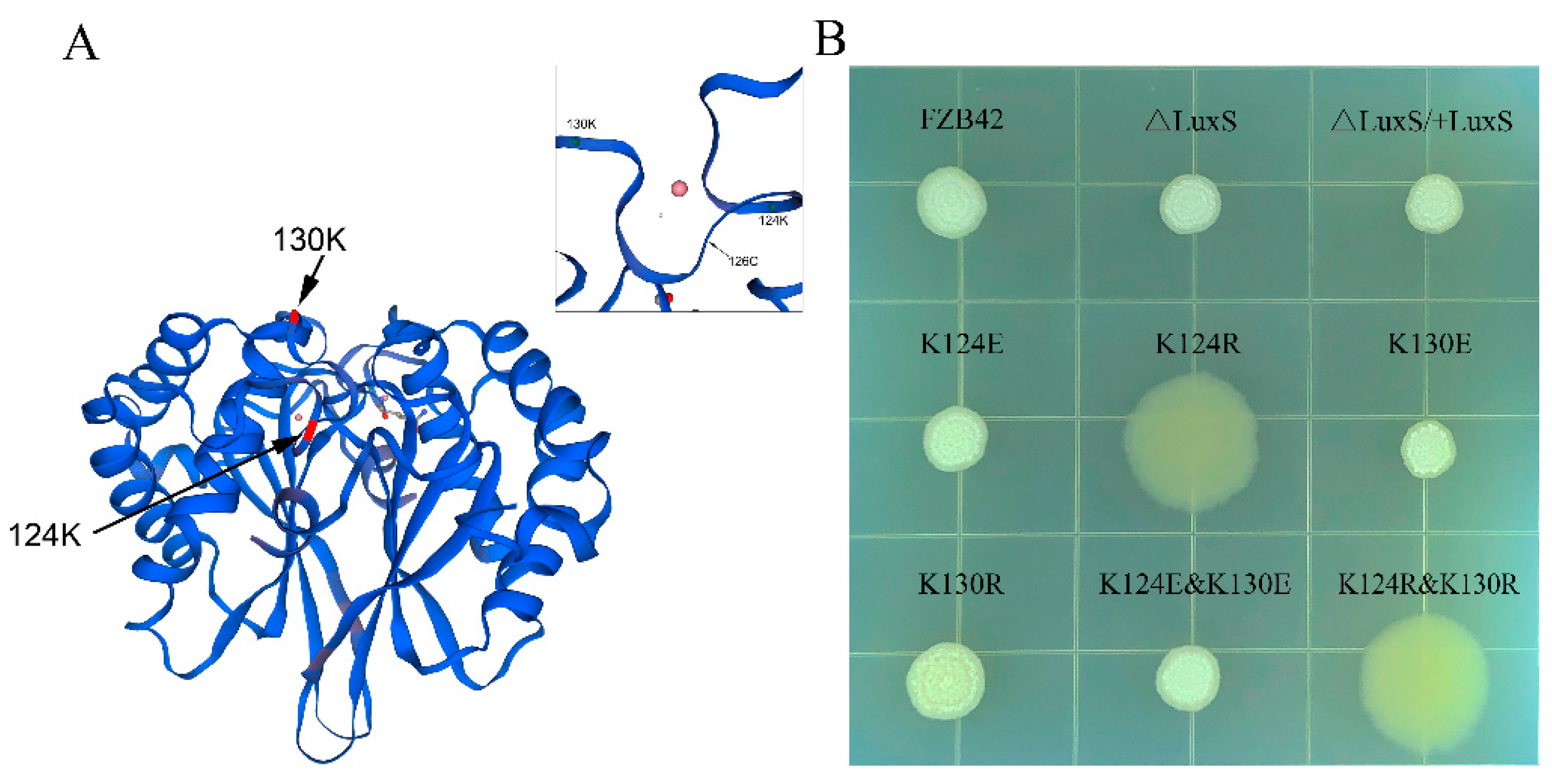 Microorganisms 09 01338 g001