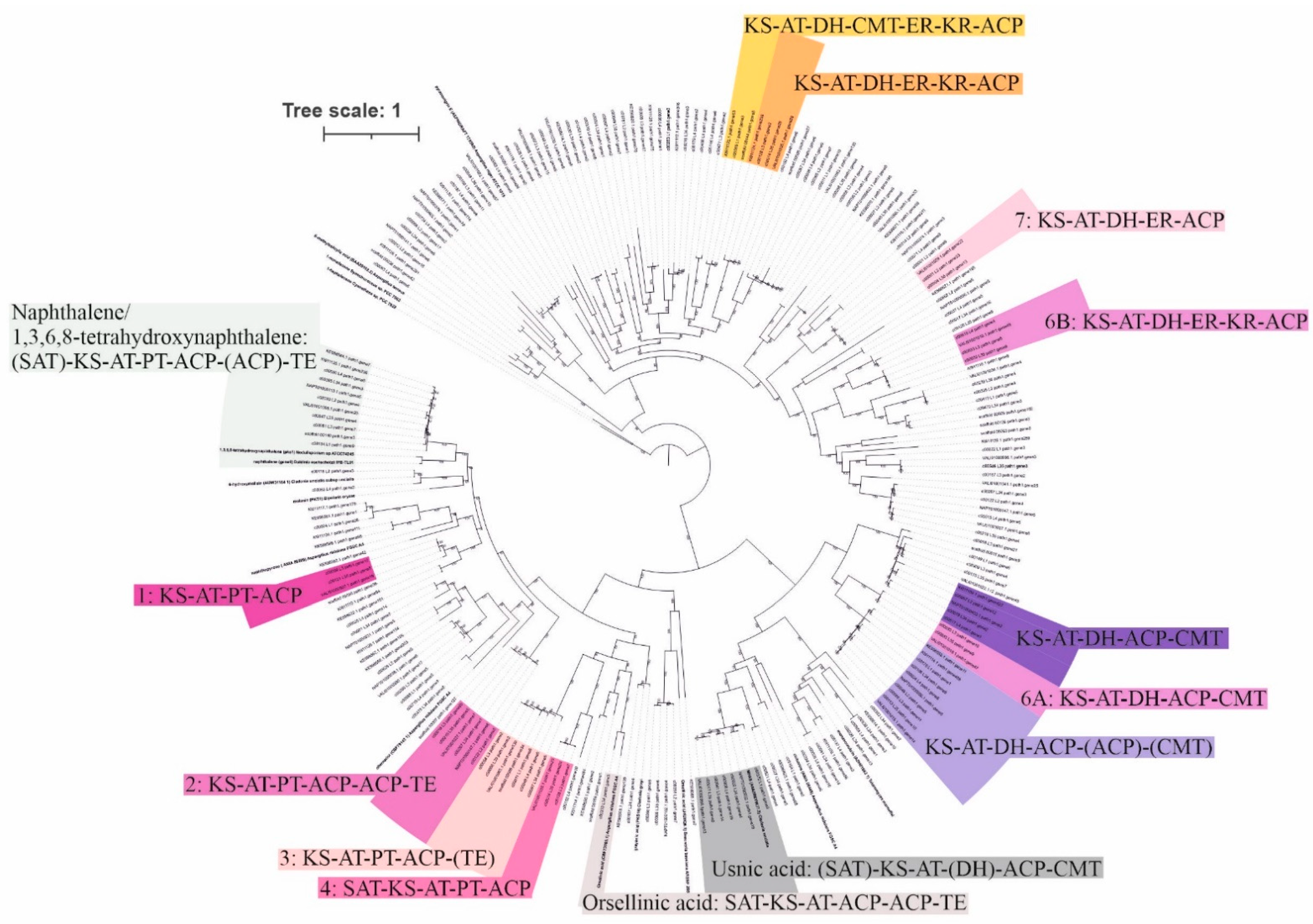 Microorganisms 09 01347 g003 550